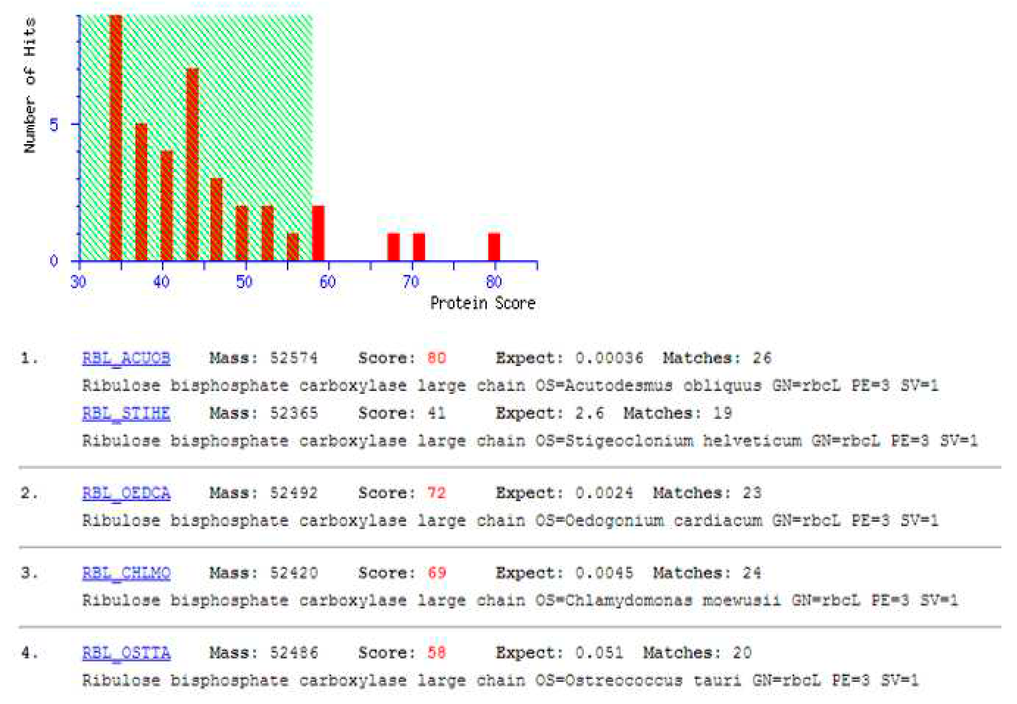 Preprints 87065 g003