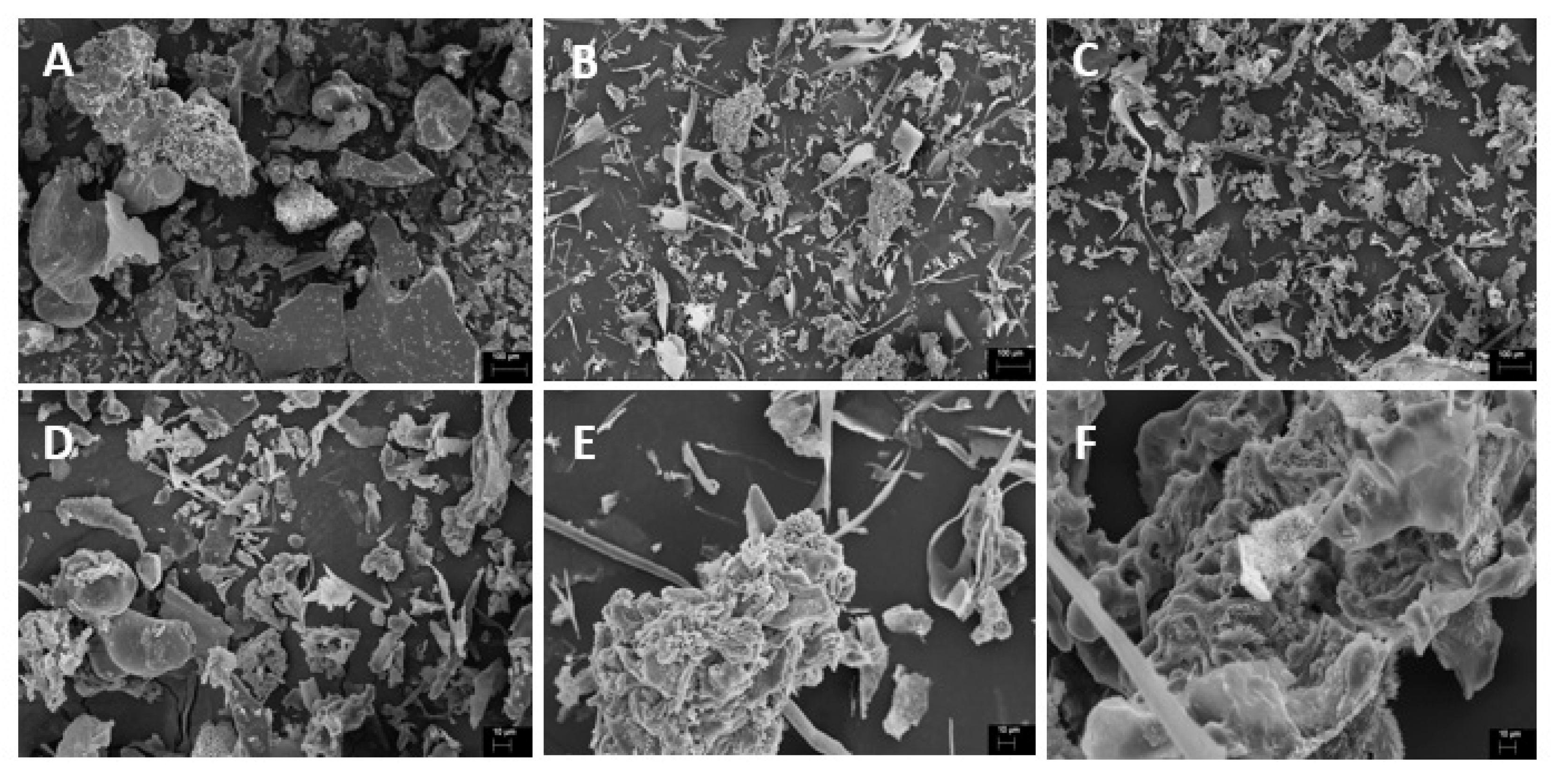 Preprints 87065 g006