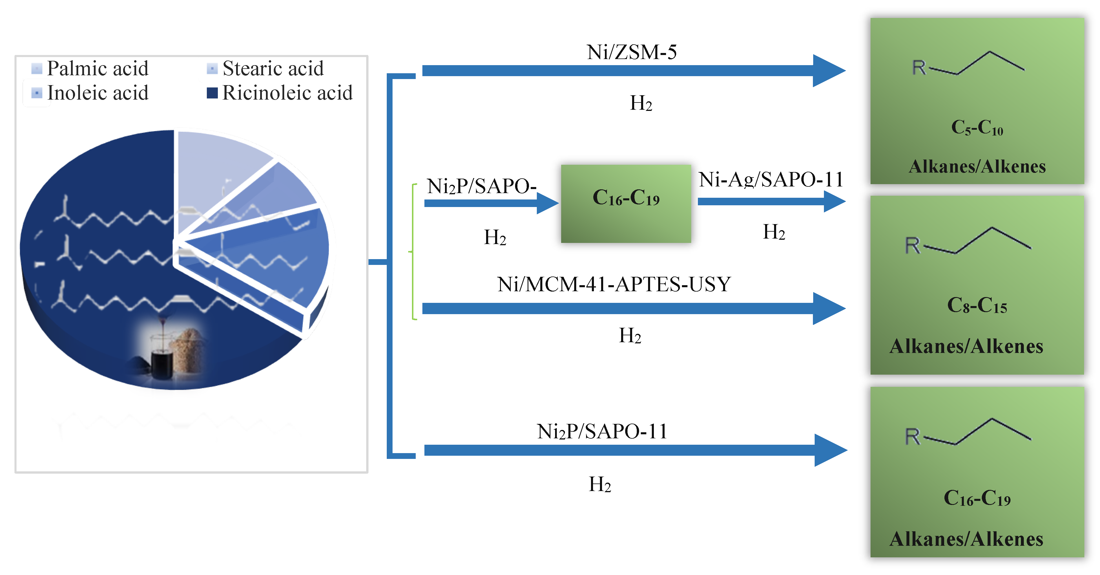 Preprints 112572 g021