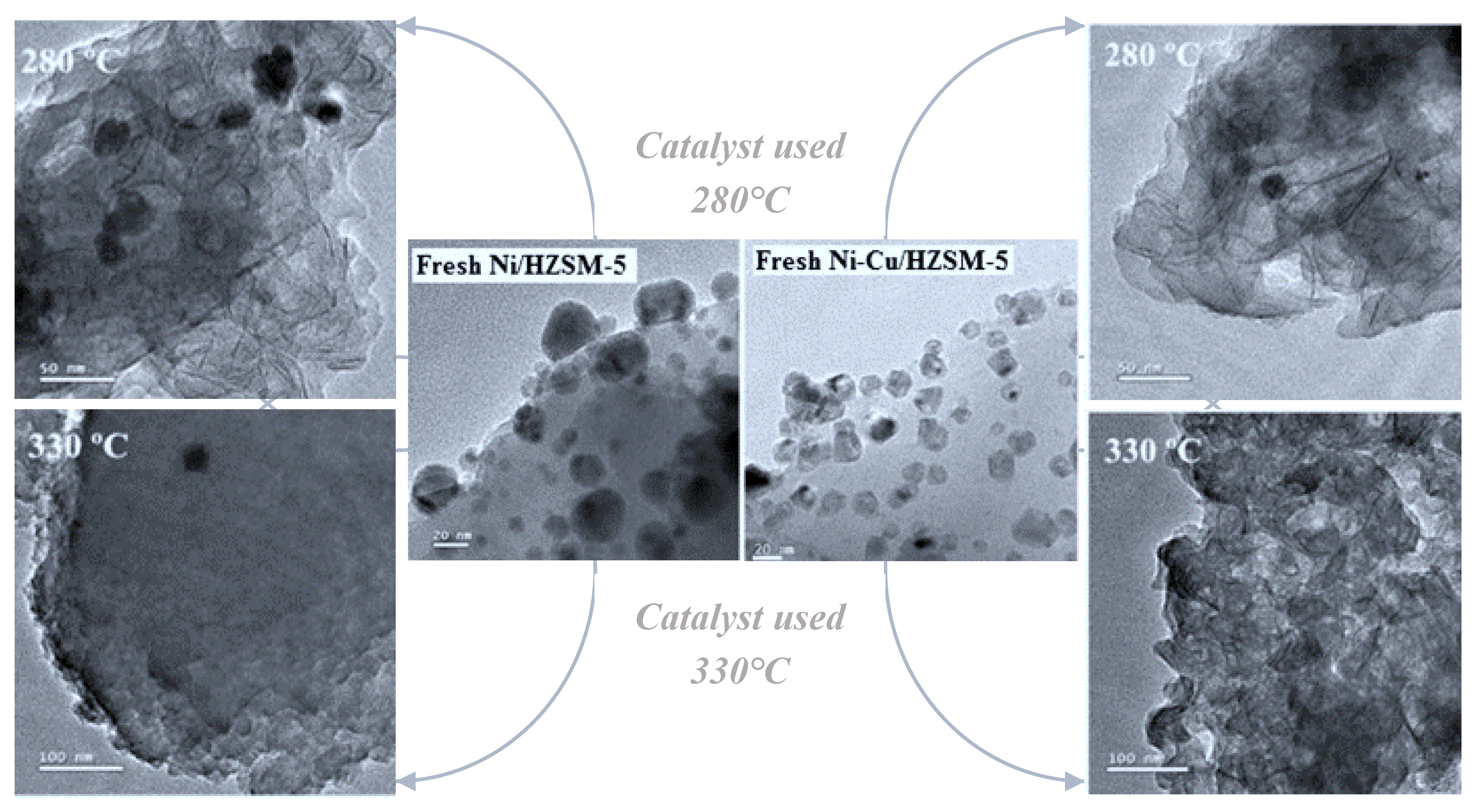 Preprints 112572 g023