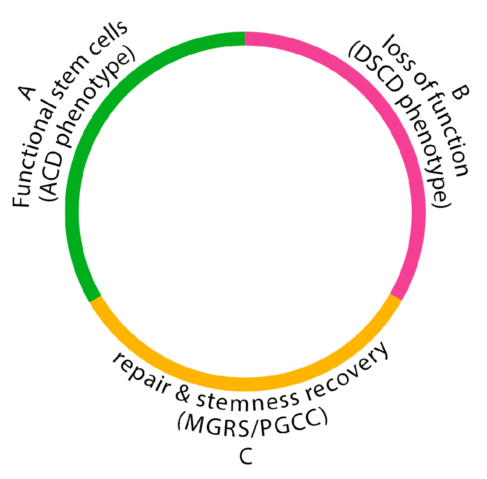 Preprints 116730 g003