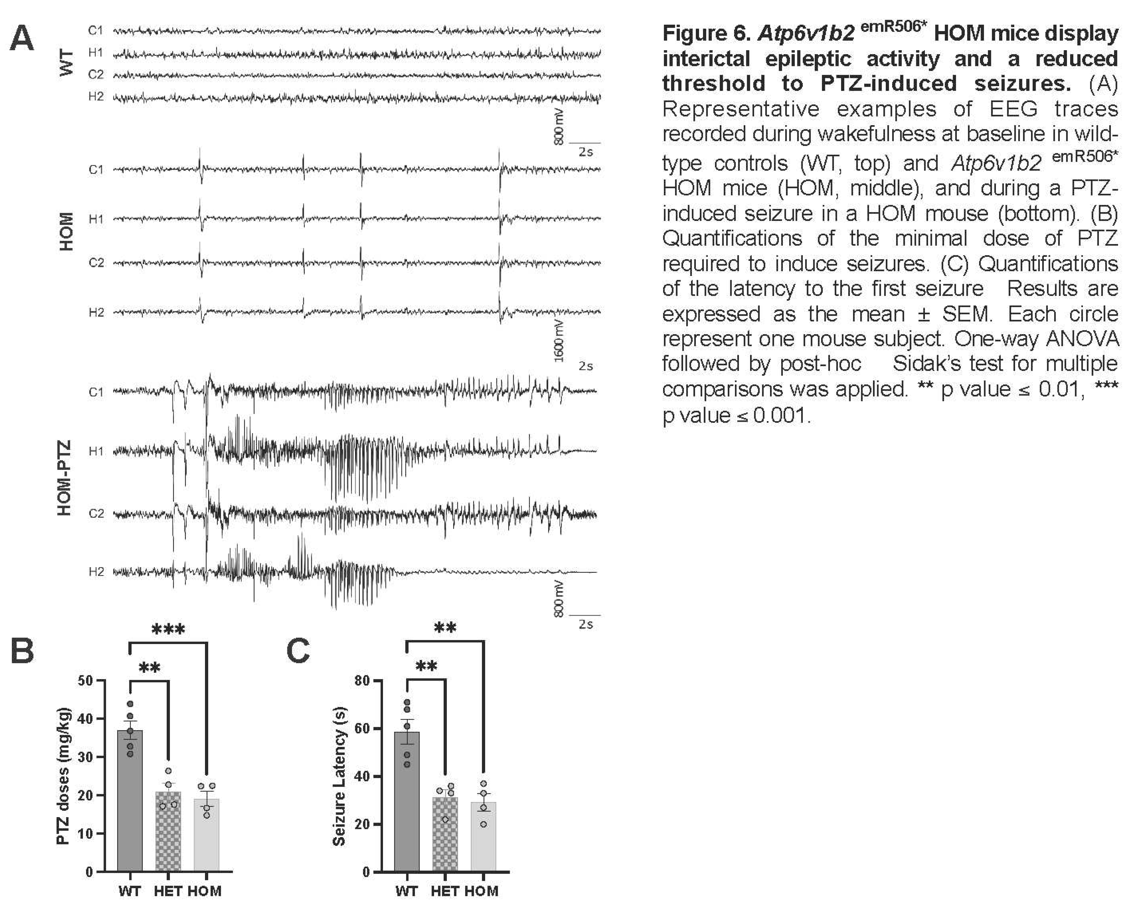 Preprints 77866 i006