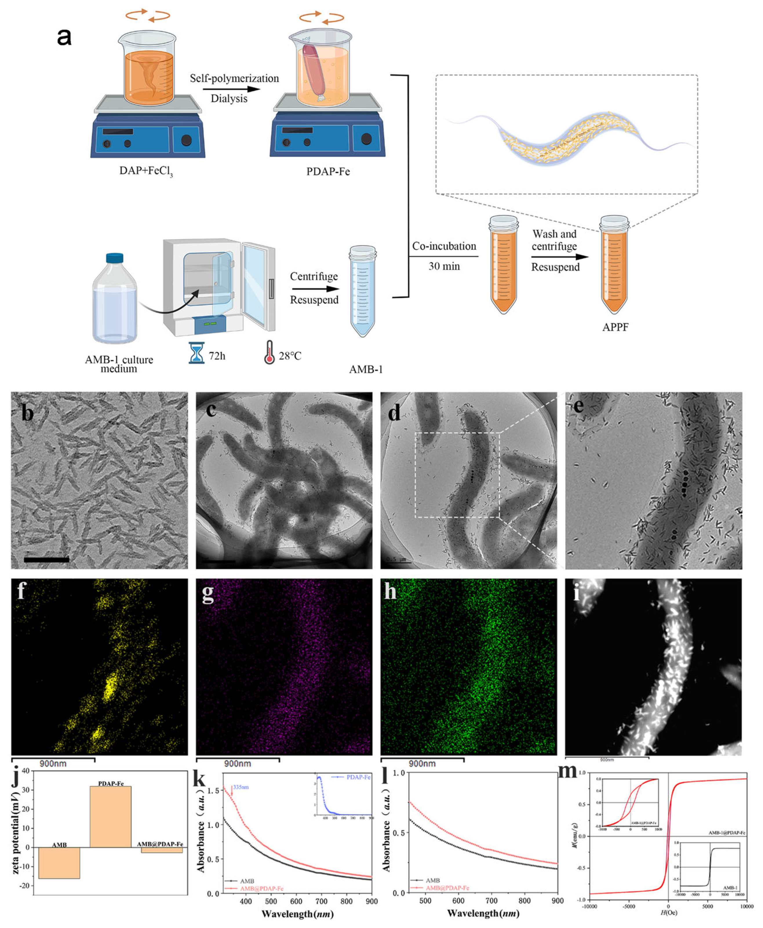 Preprints 114431 g001