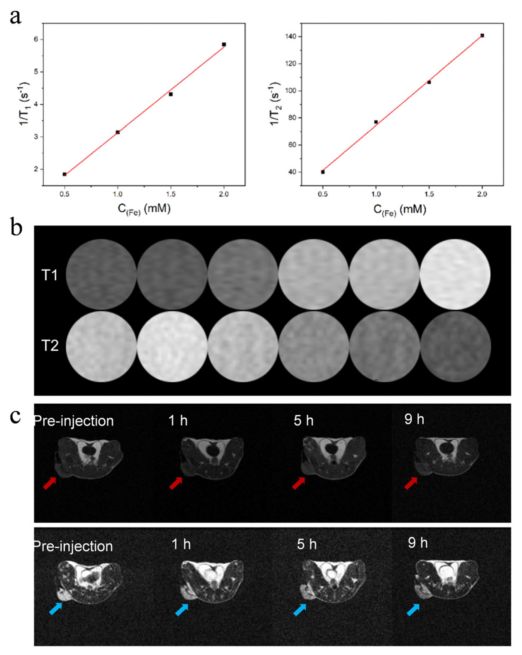 Preprints 114431 g003