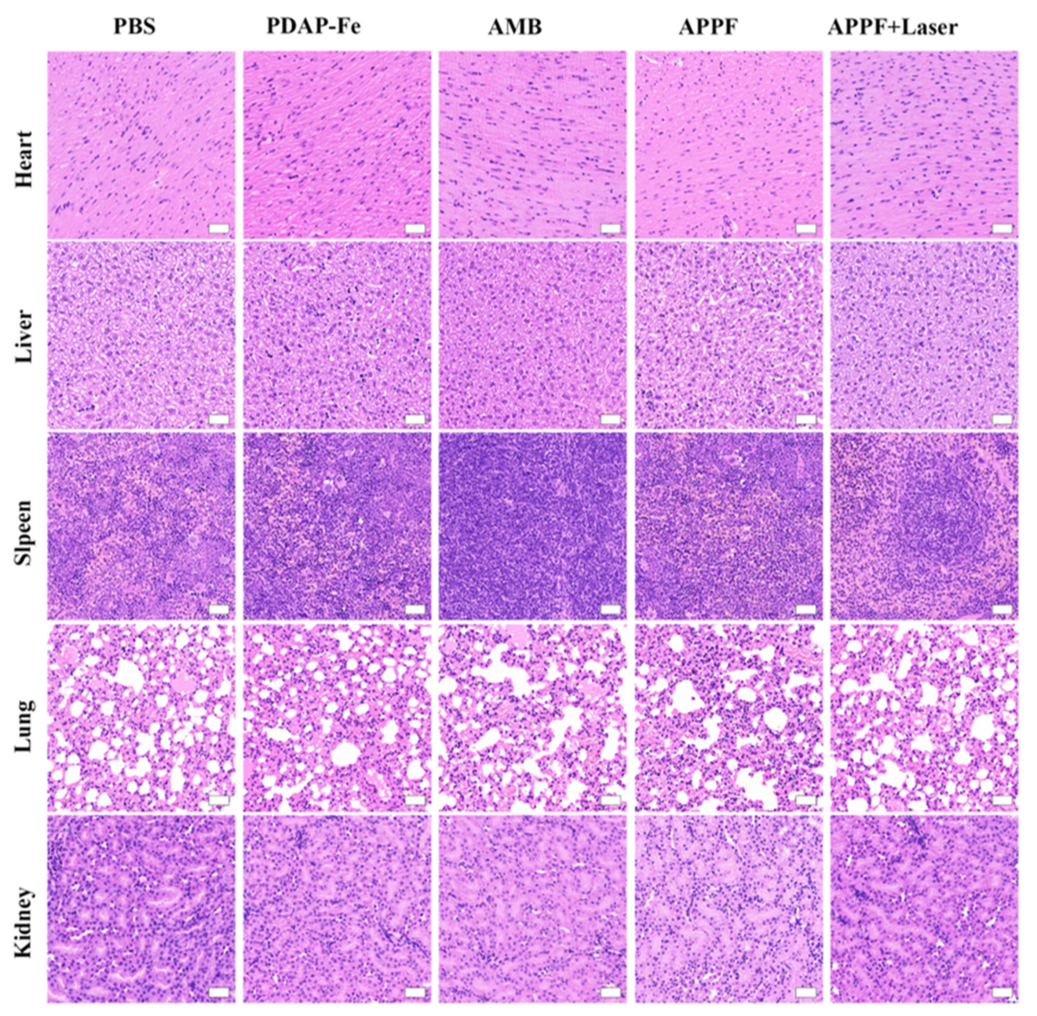 Preprints 114431 g005