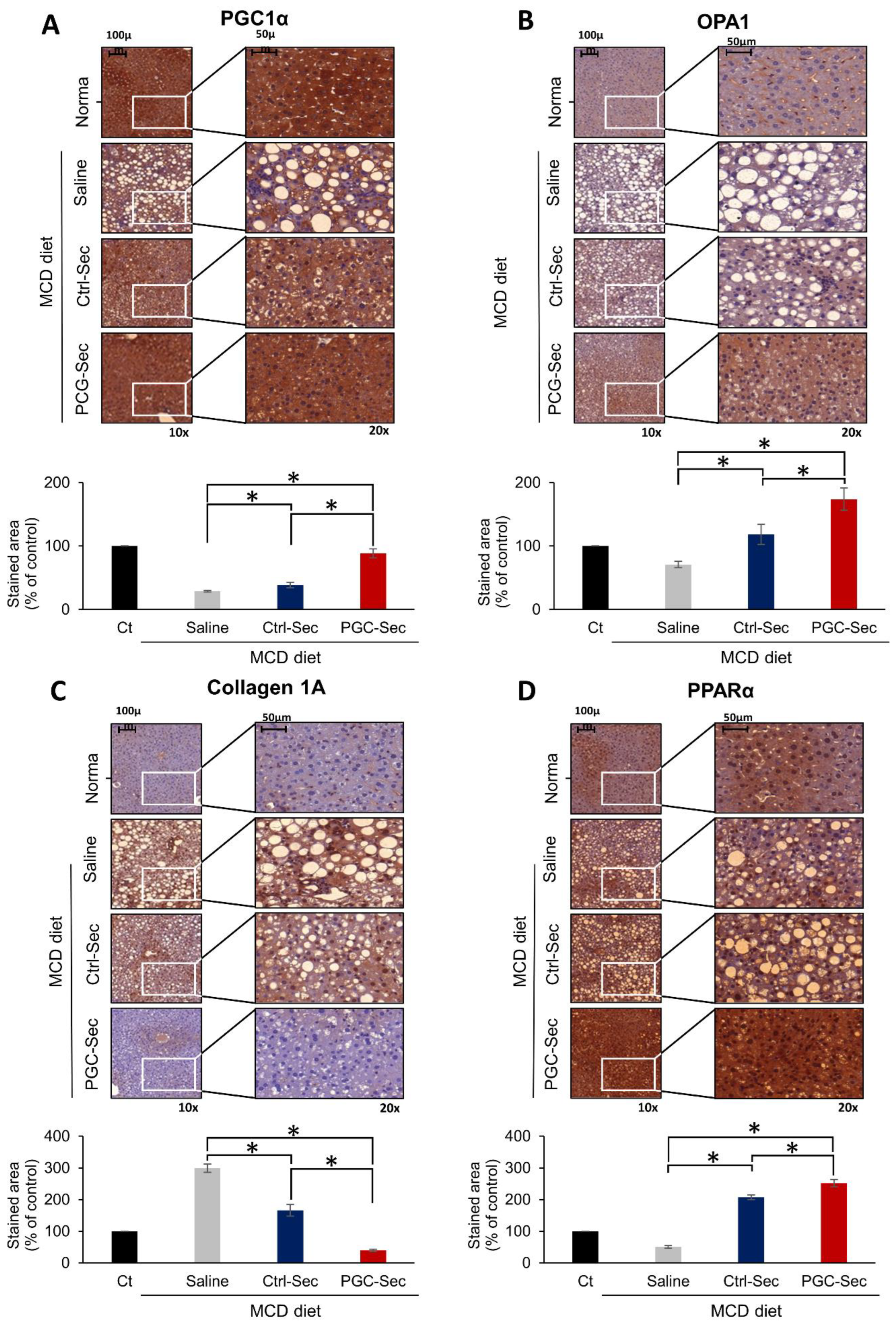 Preprints 75363 g004