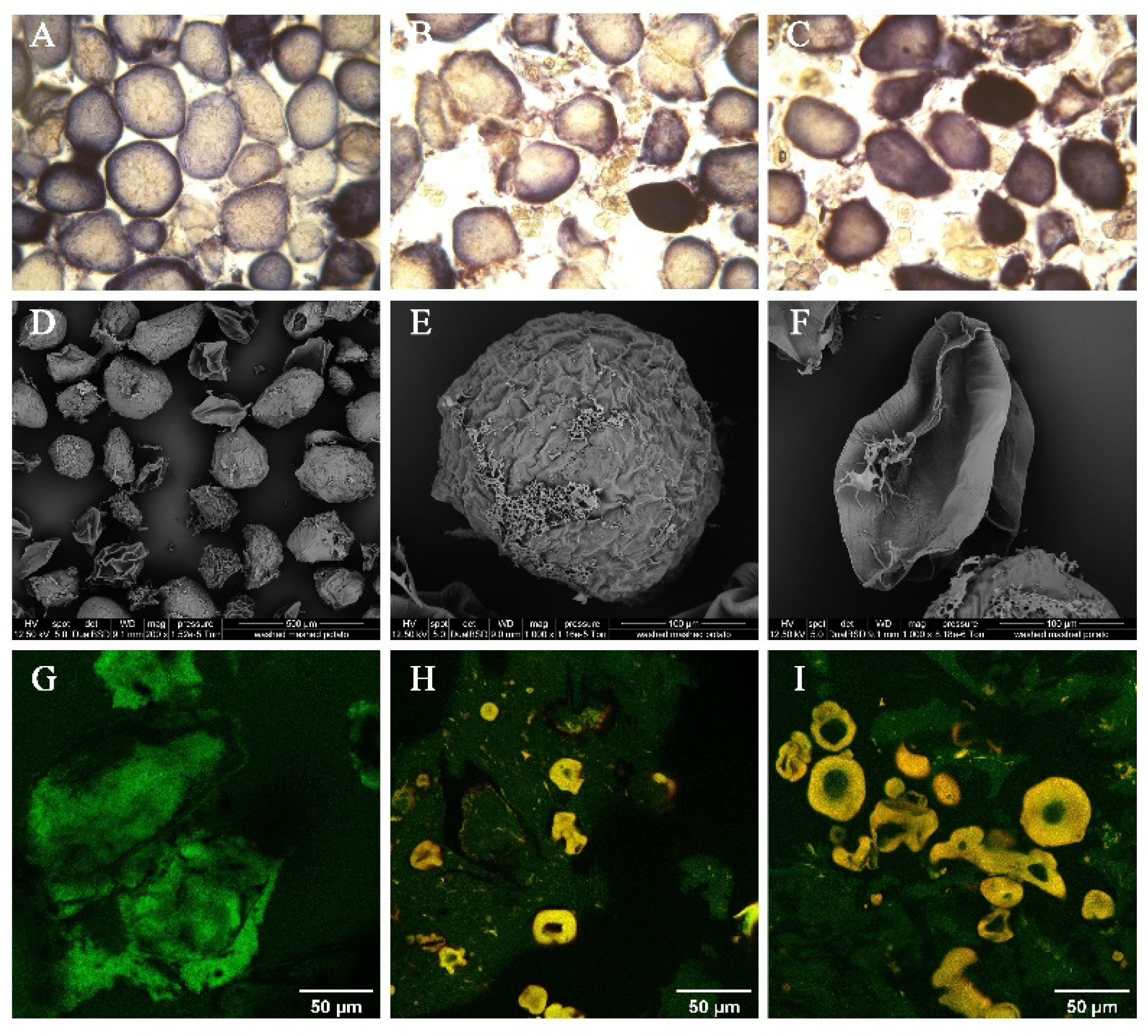 Preprints 73245 g004