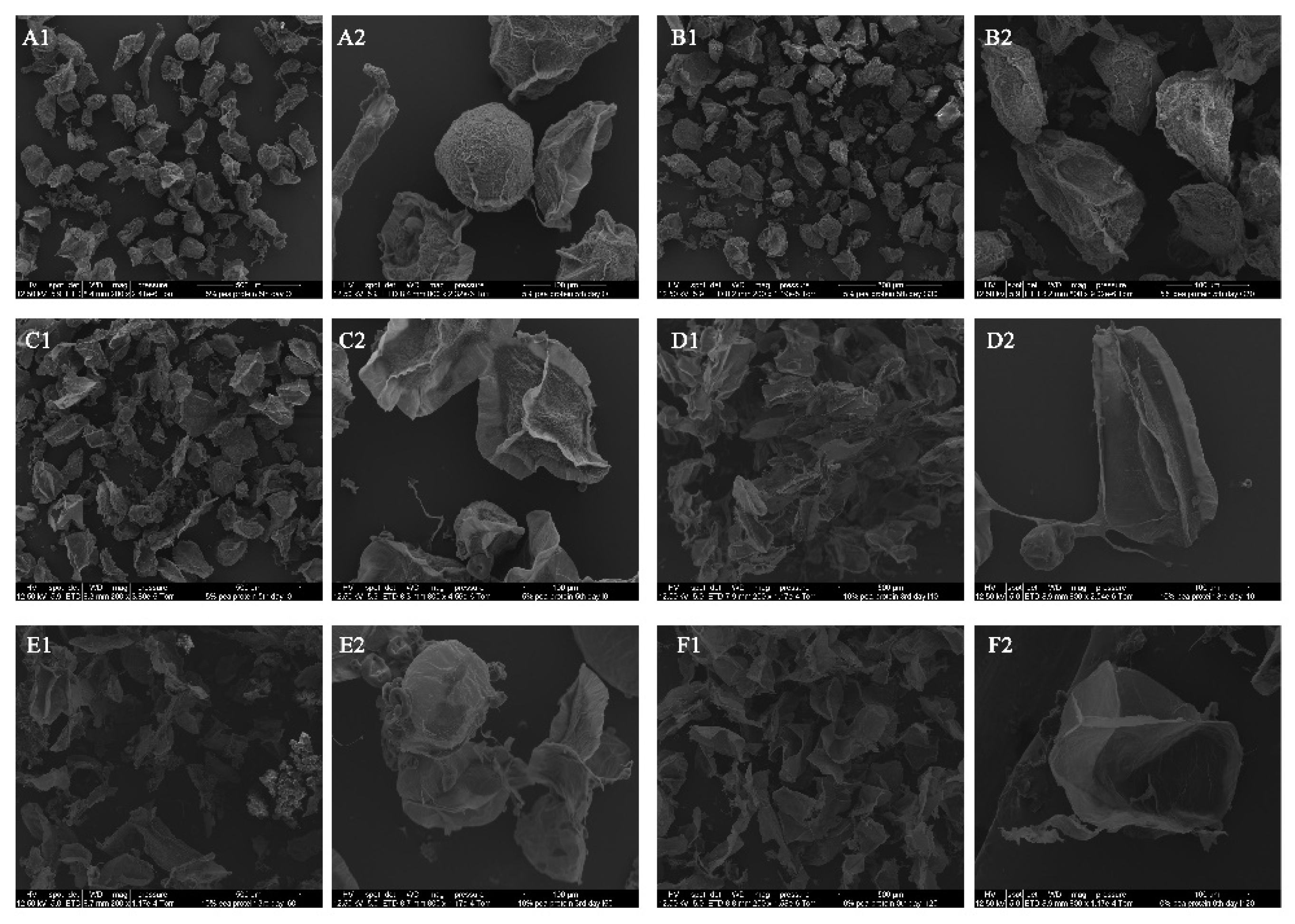 Preprints 73245 g005