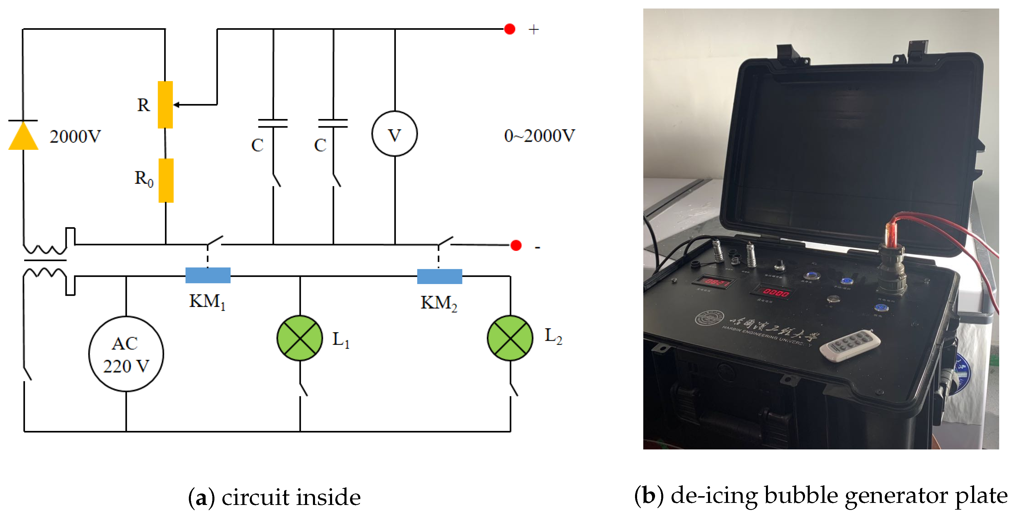 Preprints 120963 g001