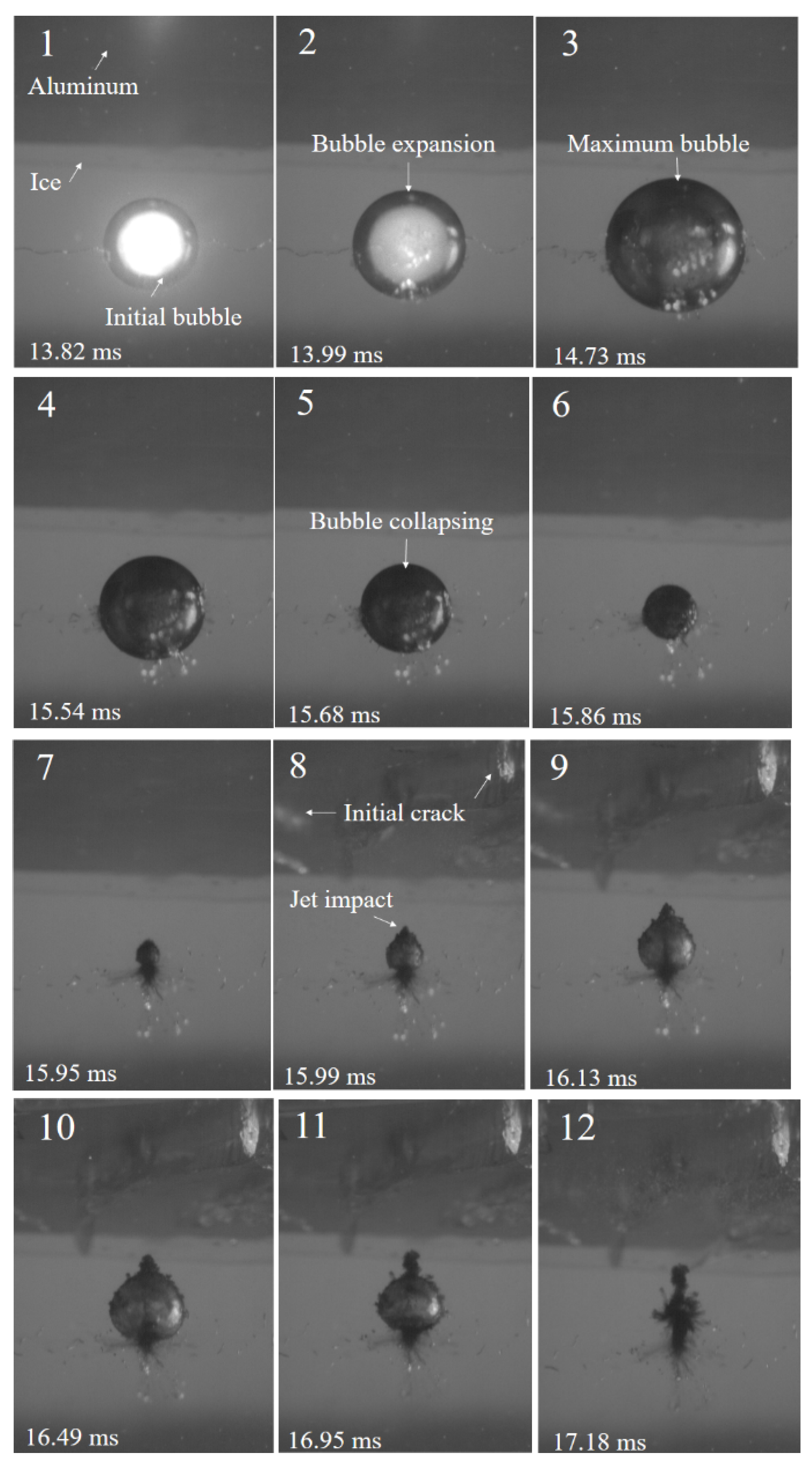 Preprints 120963 g004