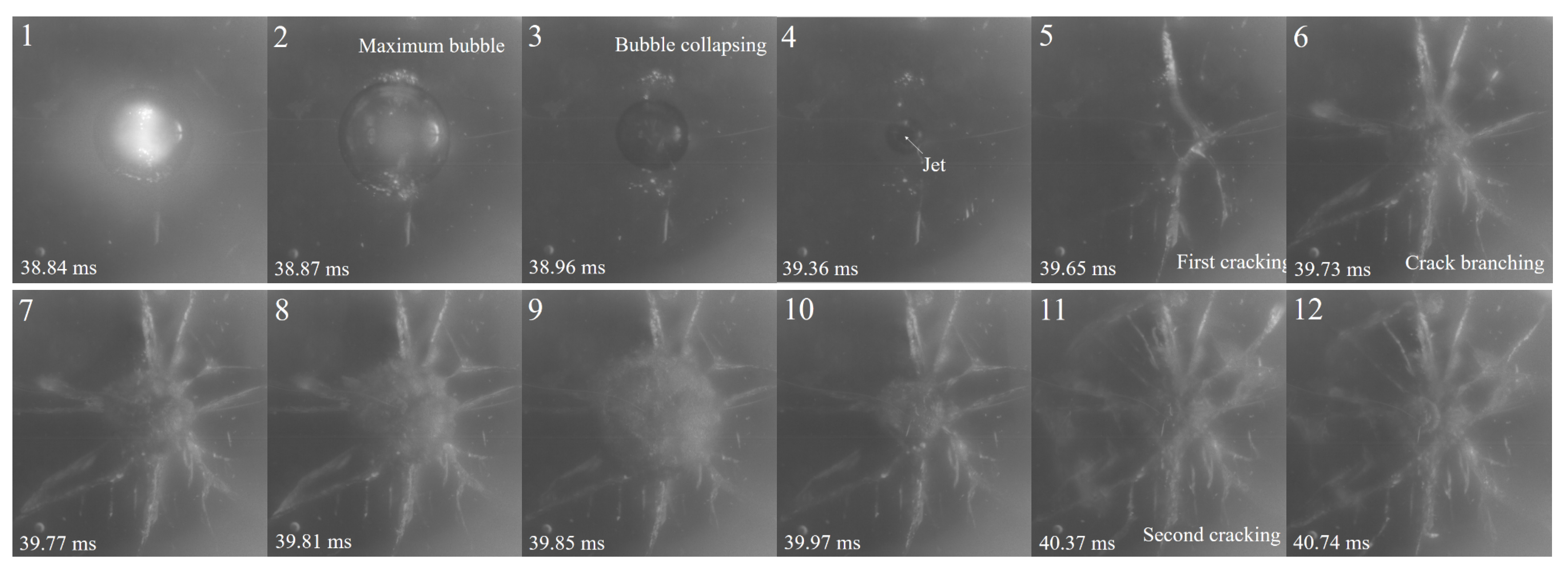 Preprints 120963 g007