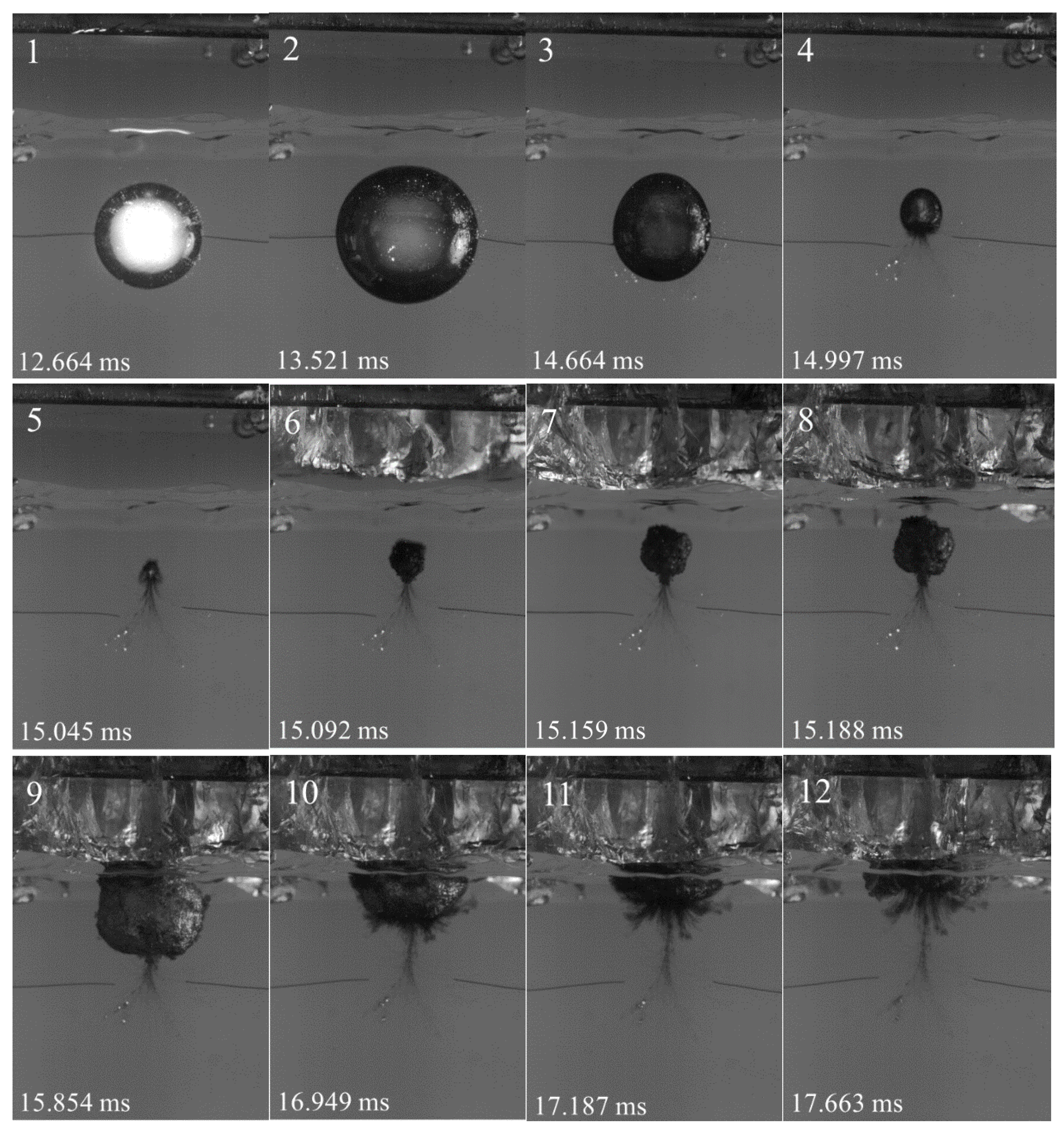 Preprints 120963 g008