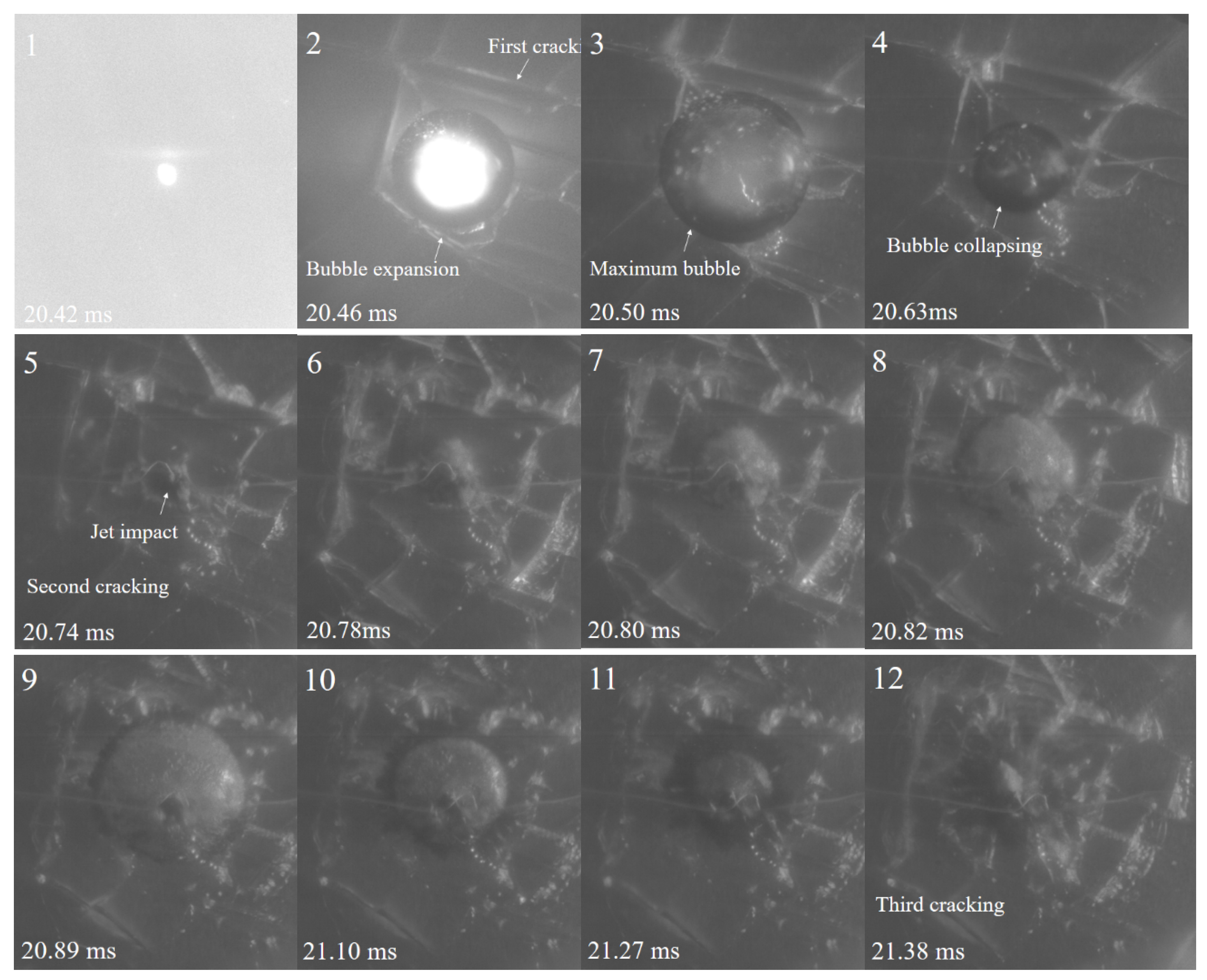 Preprints 120963 g009