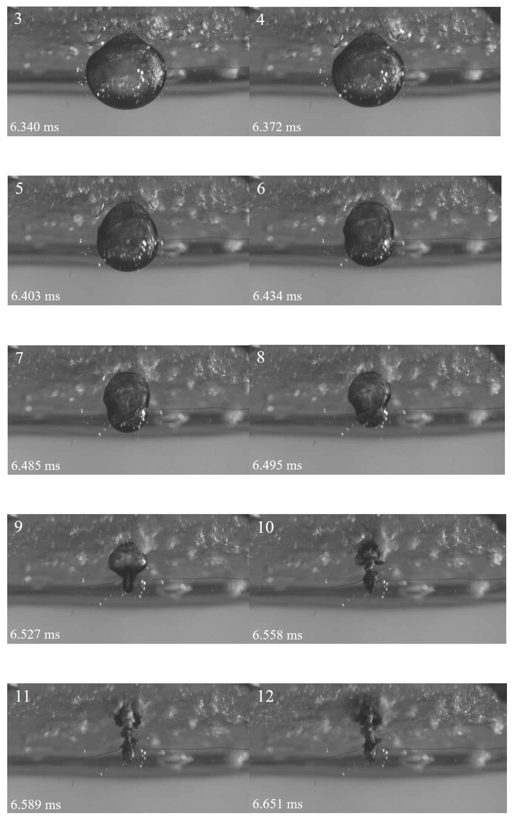 Preprints 120963 g011b