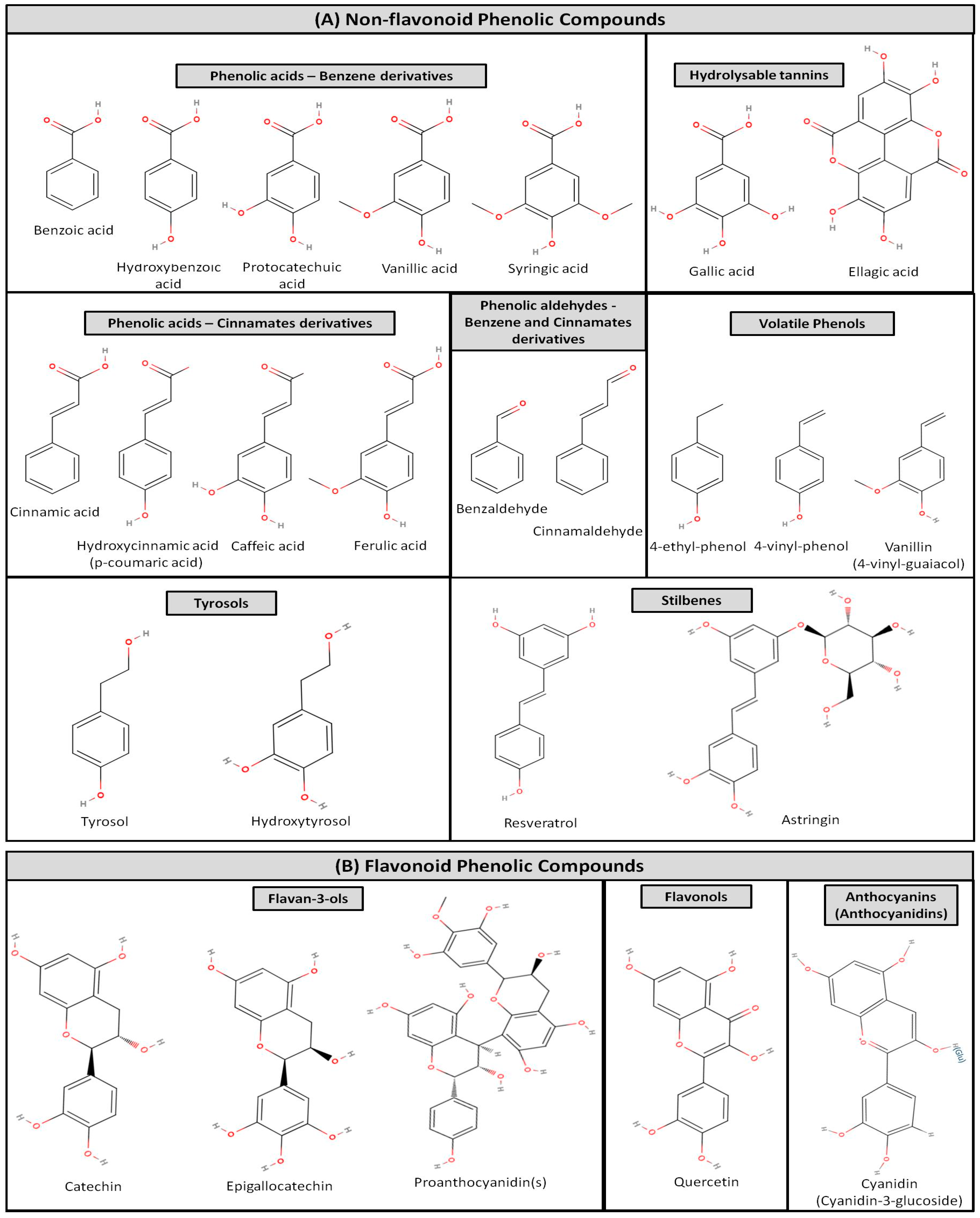 Preprints 76521 g001