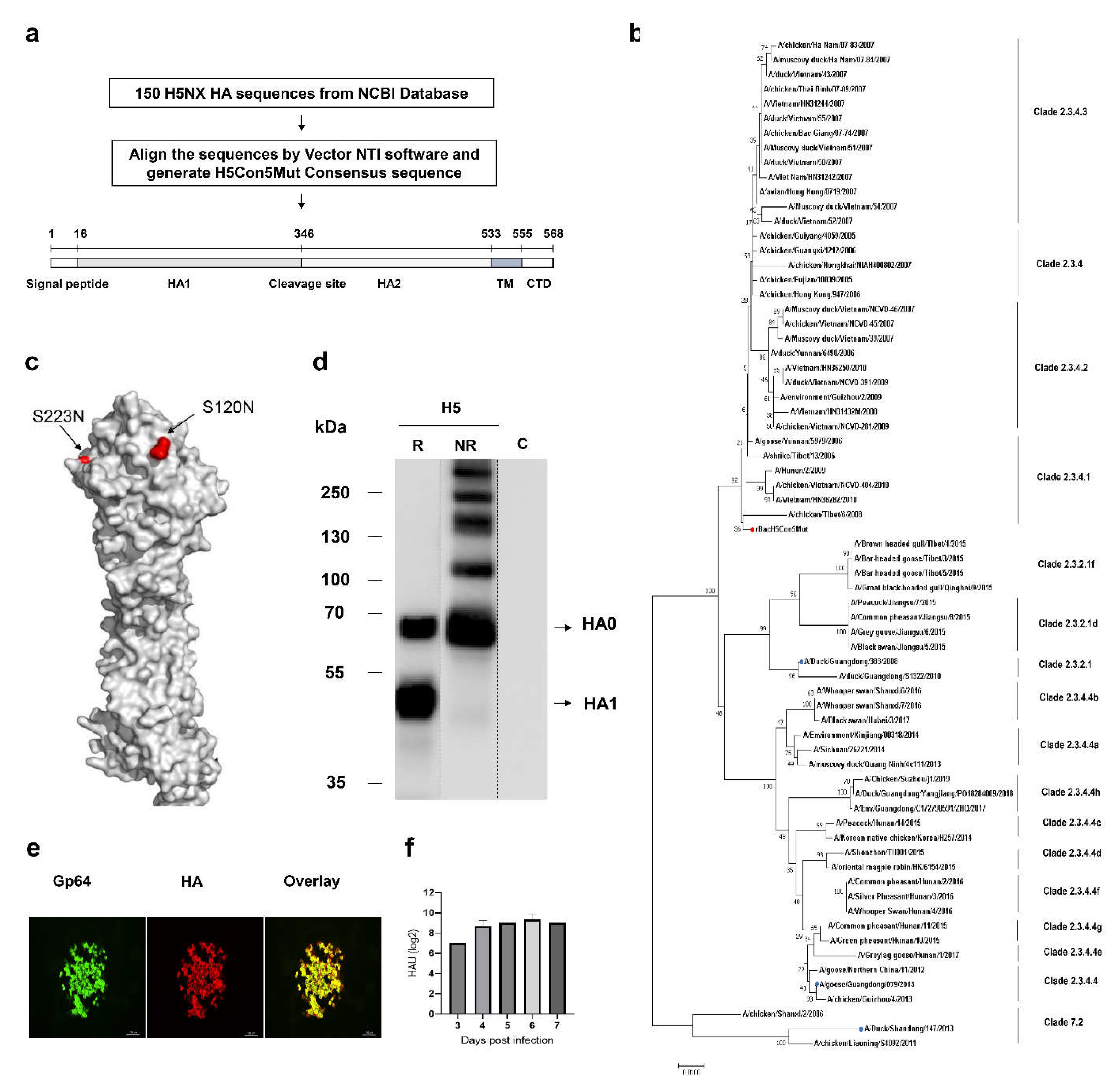 Preprints 111964 g001