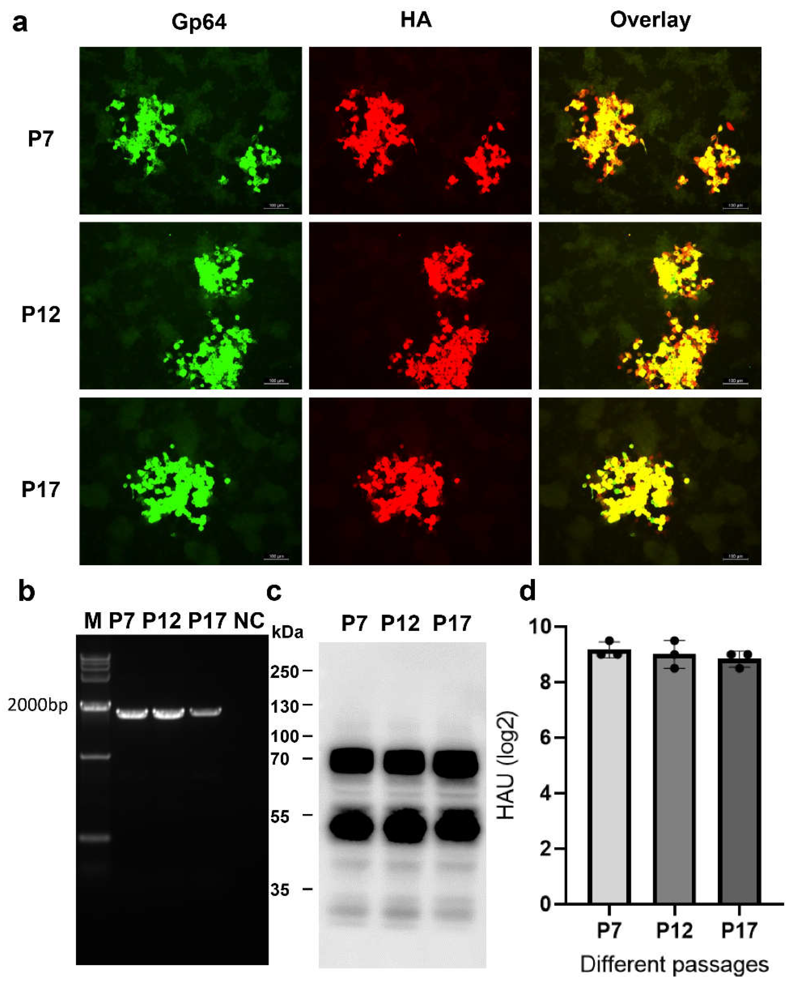 Preprints 111964 g002