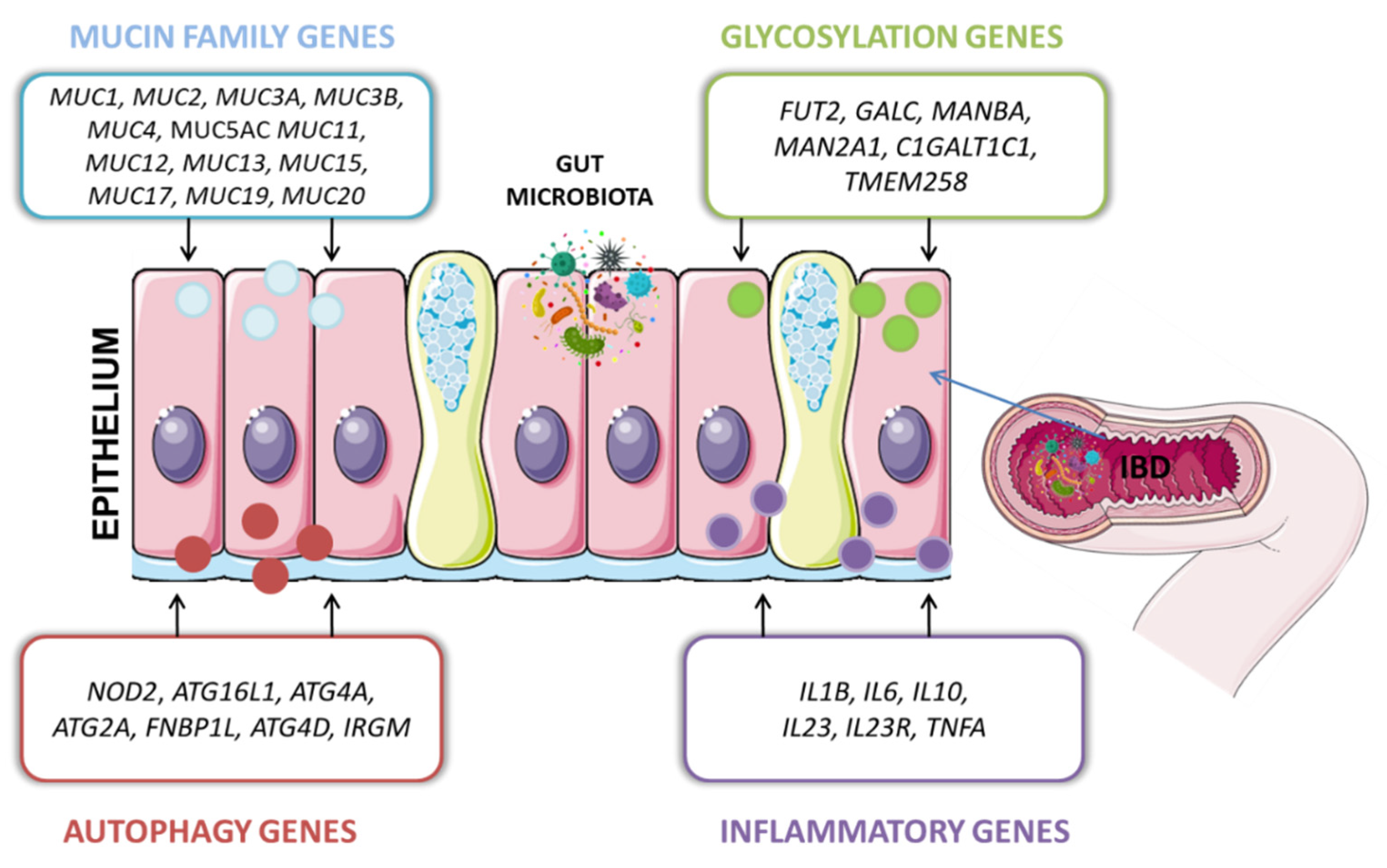 Preprints 112202 g001