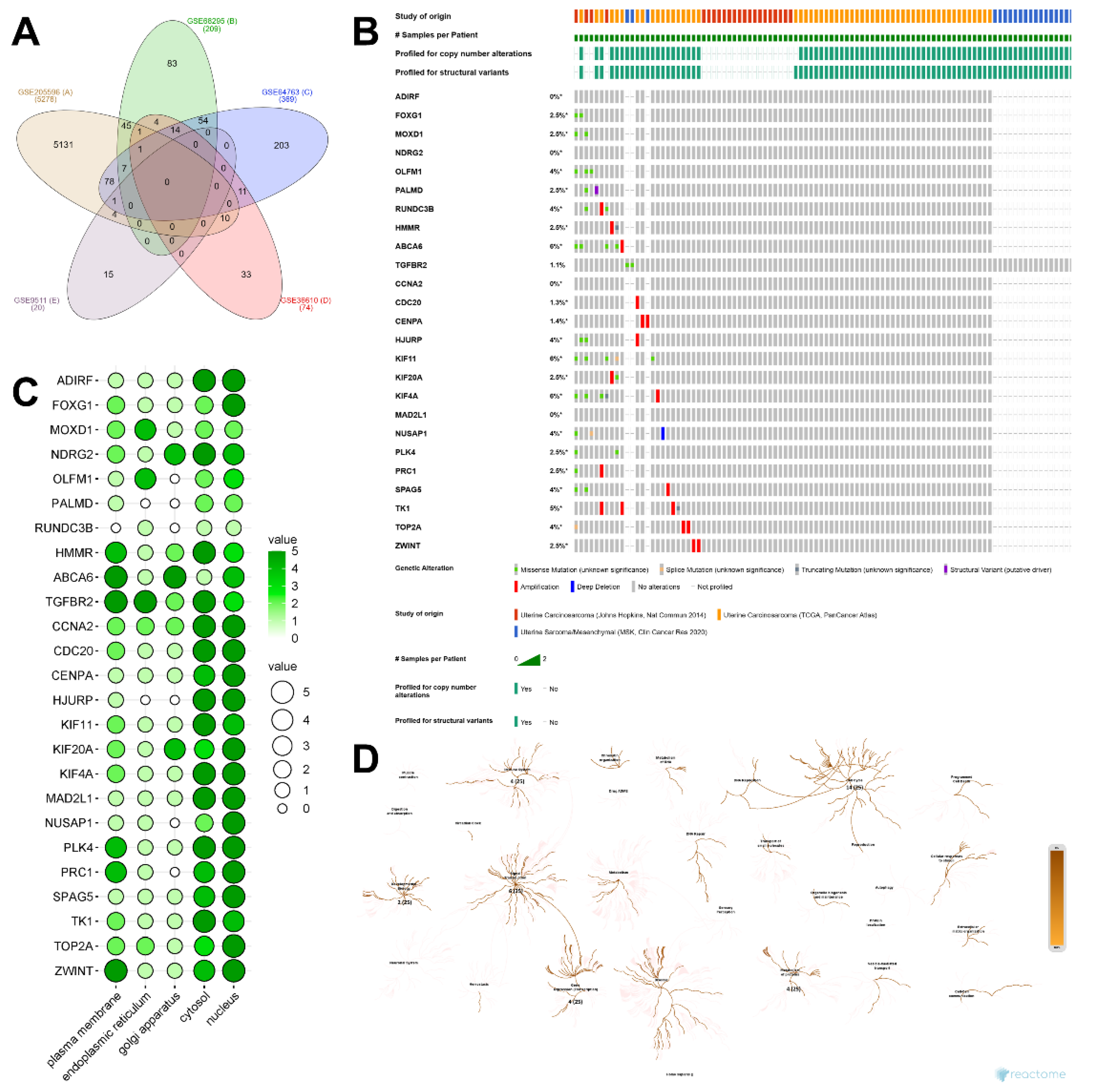 Preprints 111300 g002