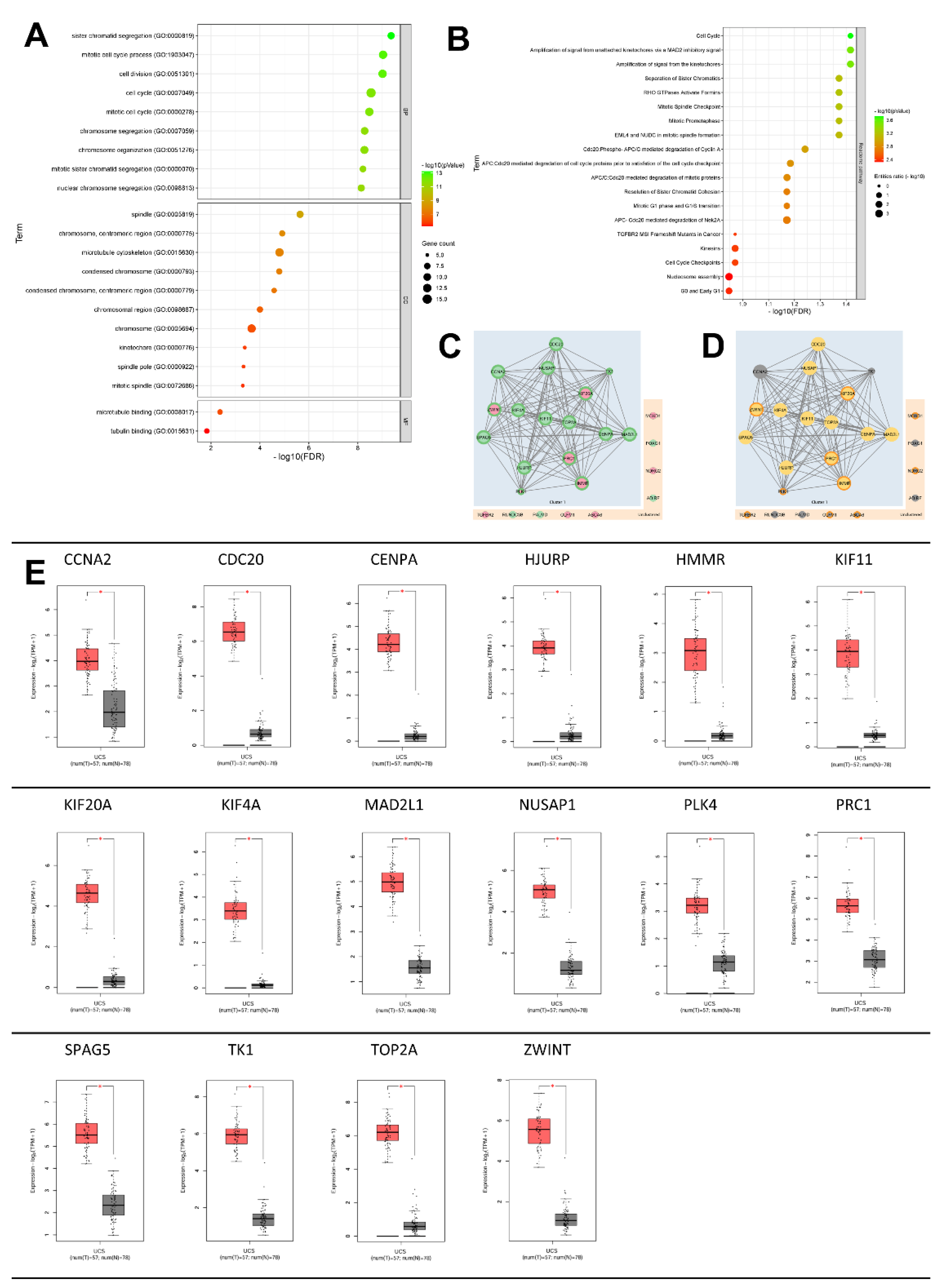 Preprints 111300 g003