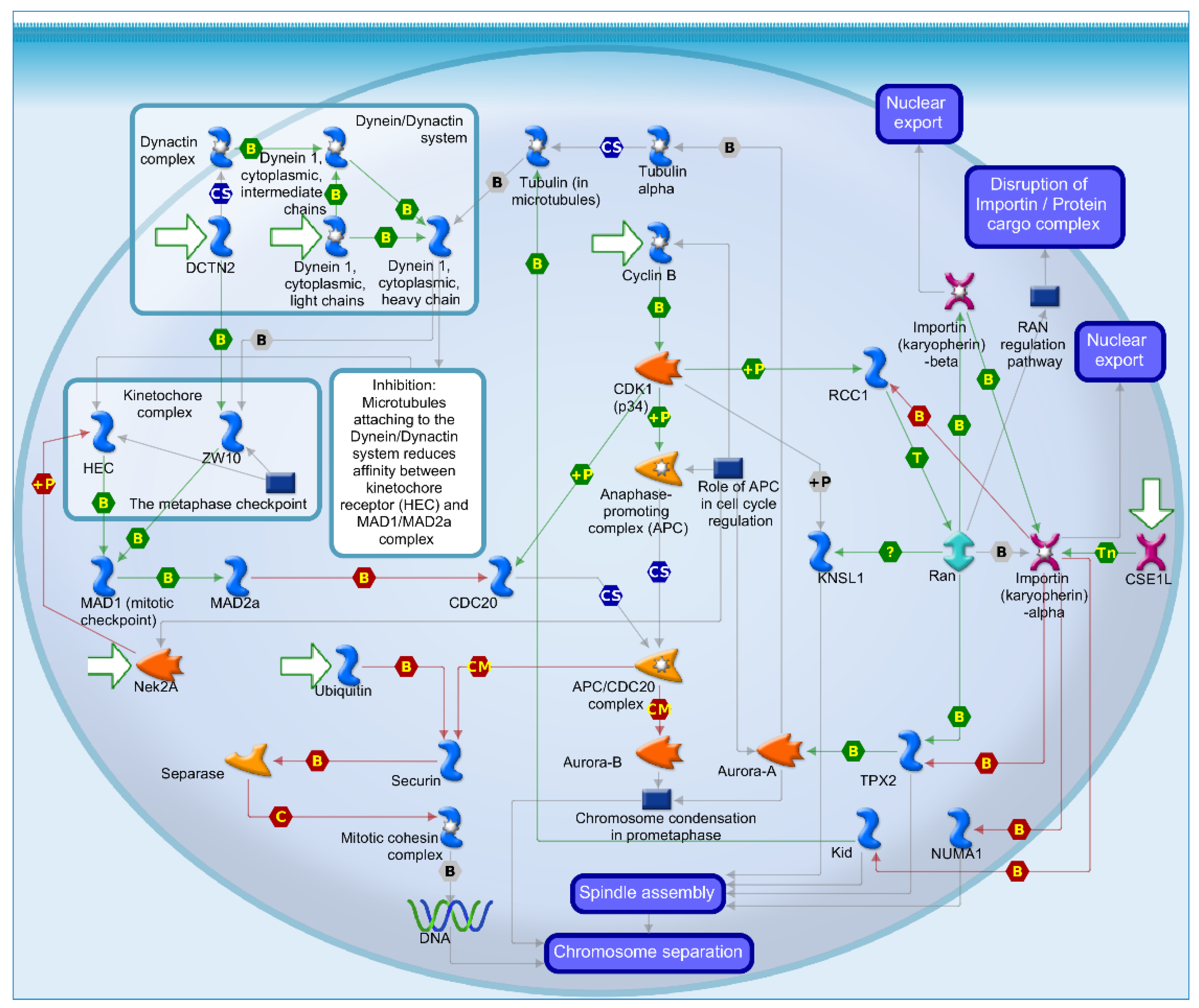 Preprints 111300 g006