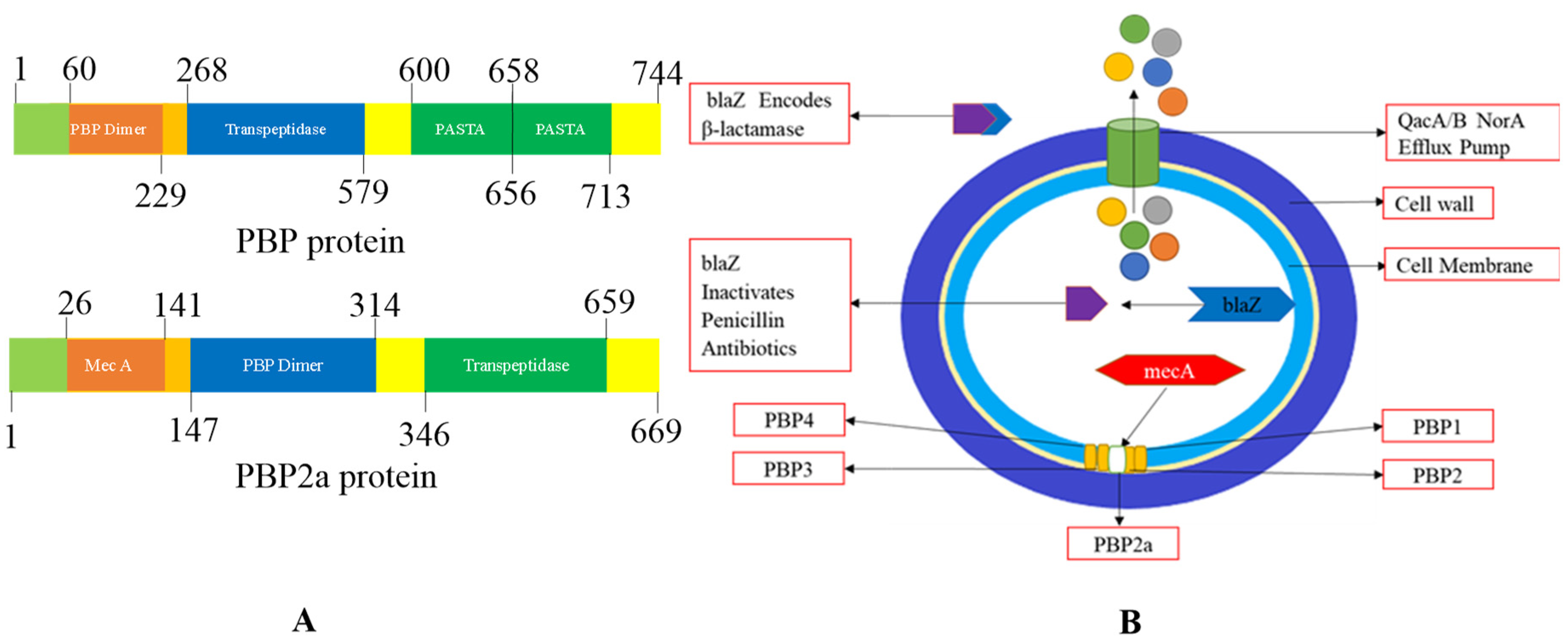 Preprints 84804 g006