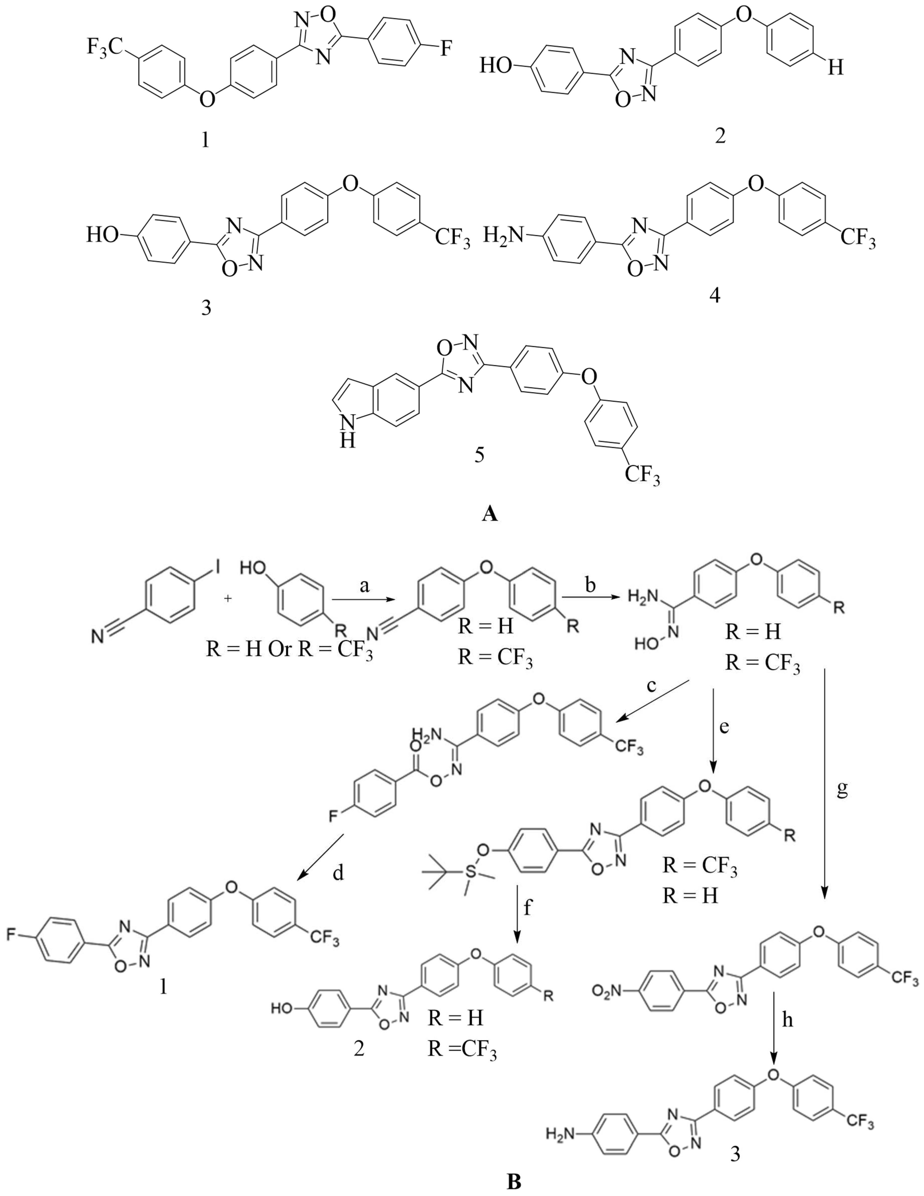 Preprints 84804 g011