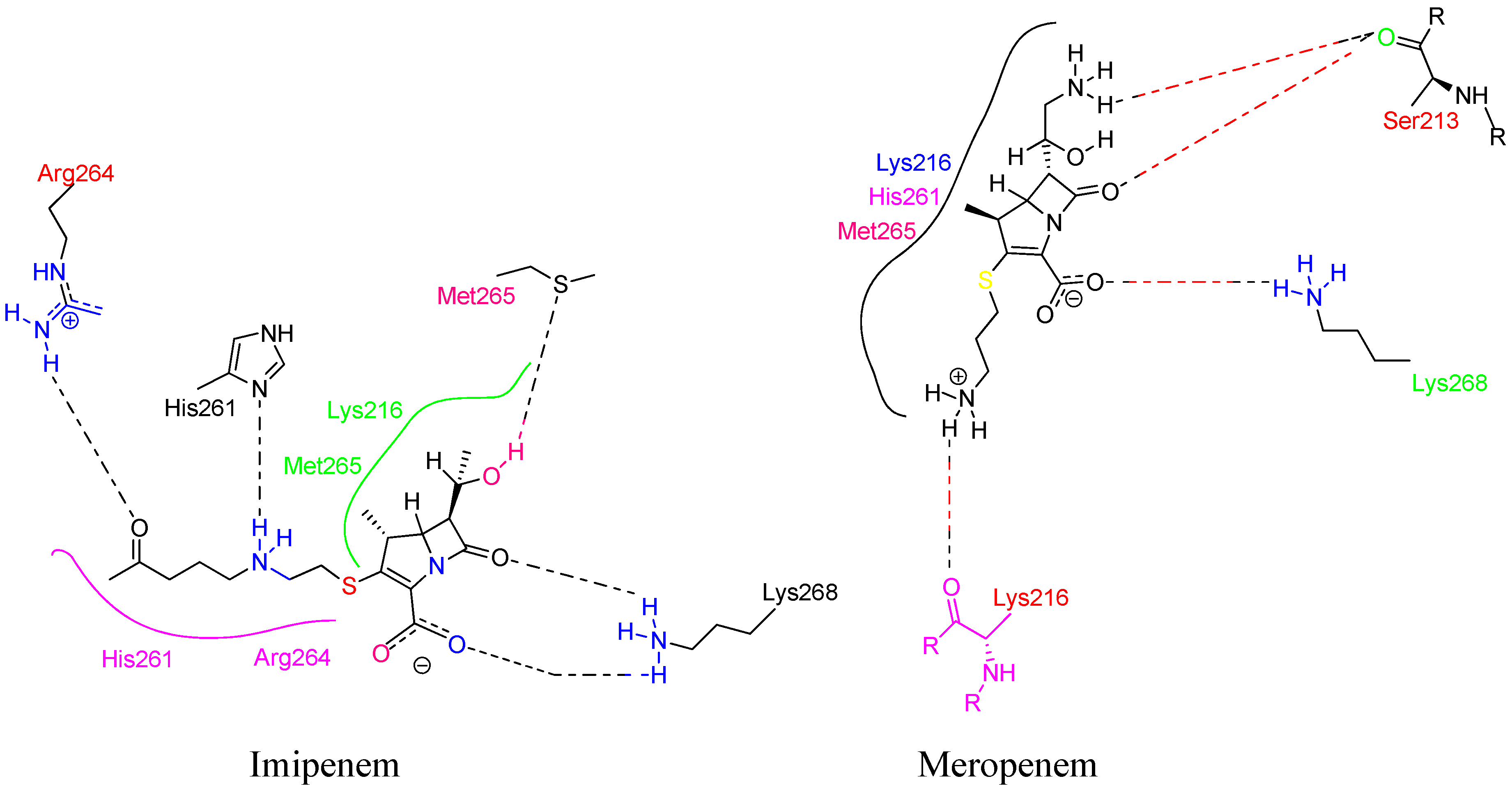 Preprints 84804 g021