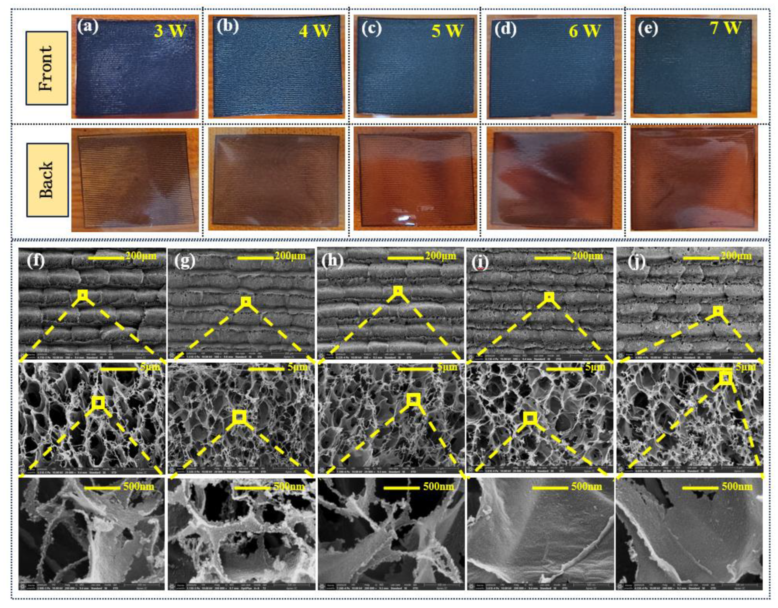 Preprints 110808 g002