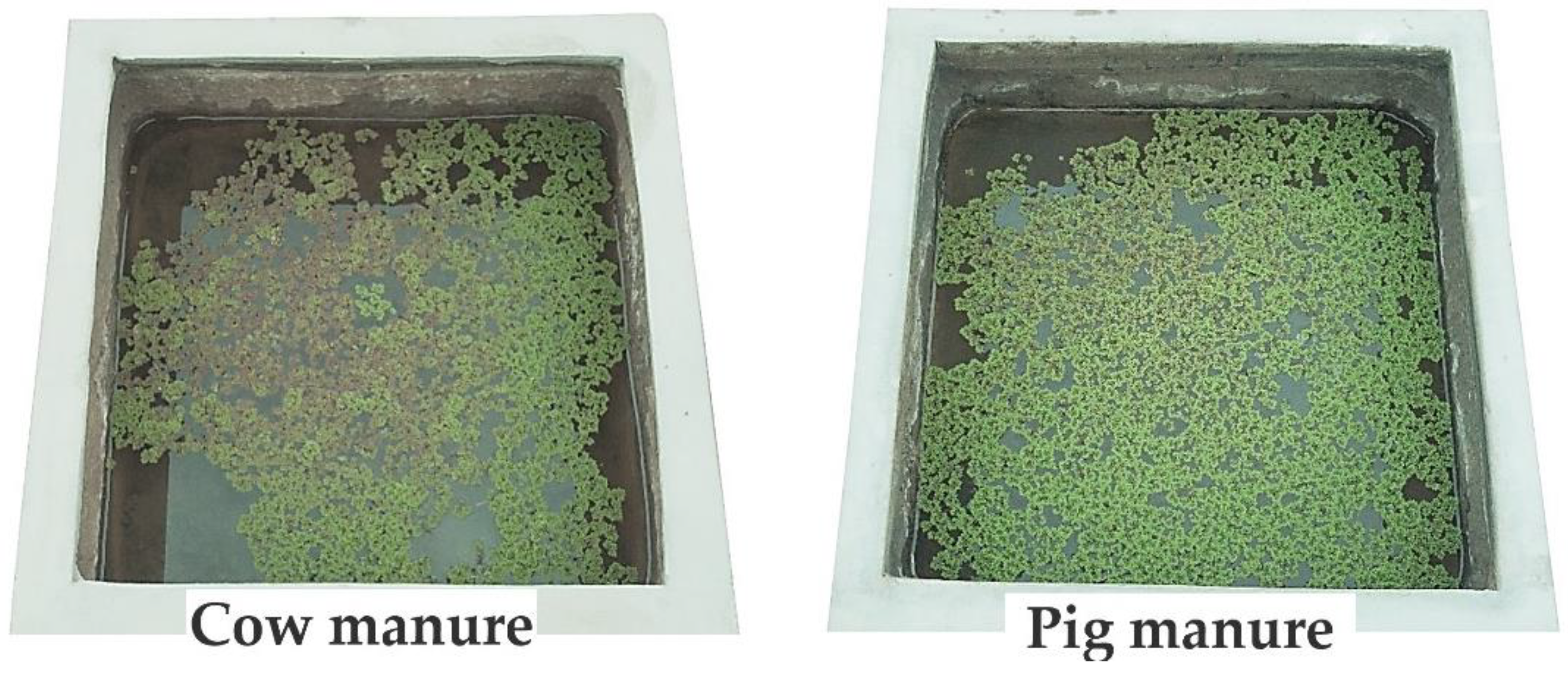 Preprints 119599 g003