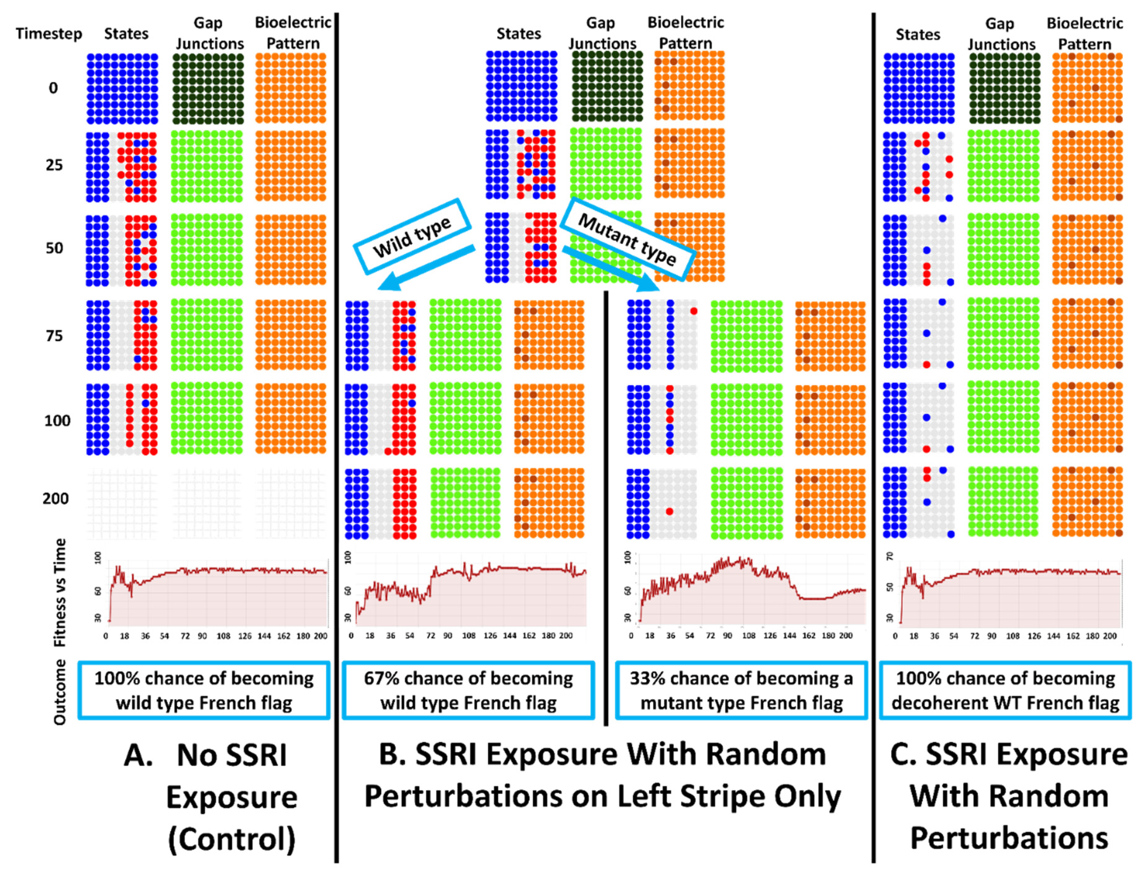 Preprints 116460 g010