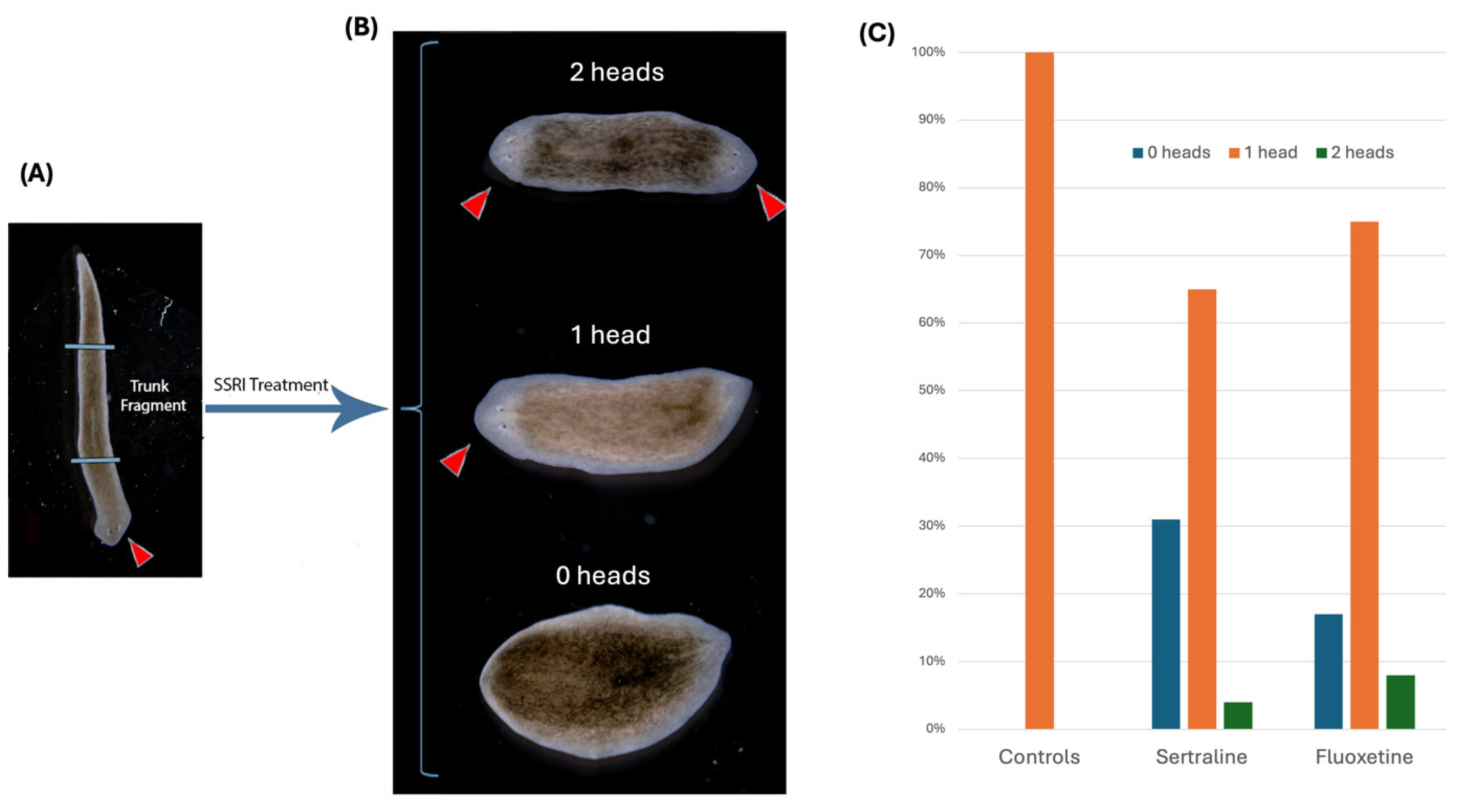 Preprints 116460 g011