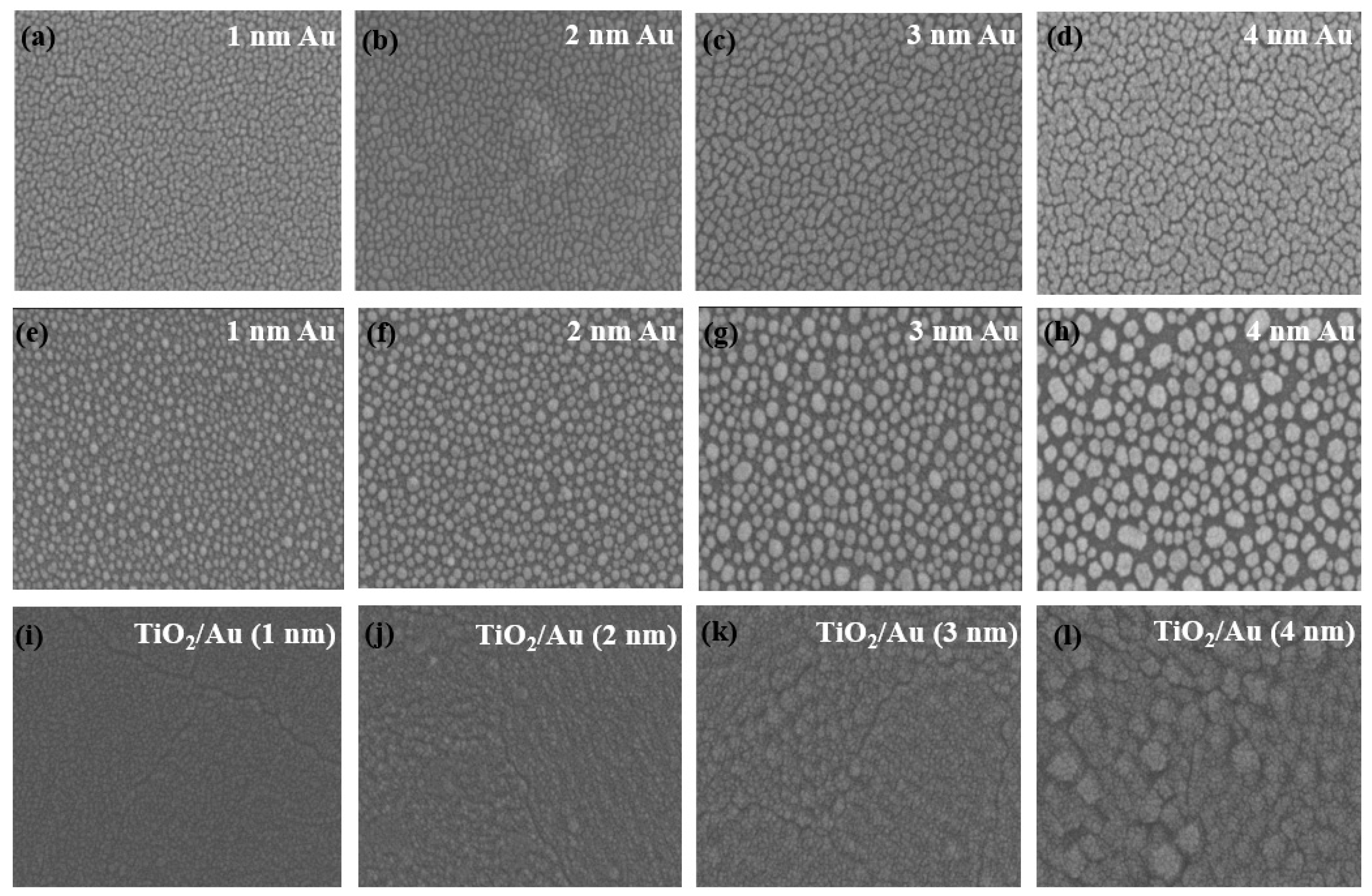 Preprints 97041 g006