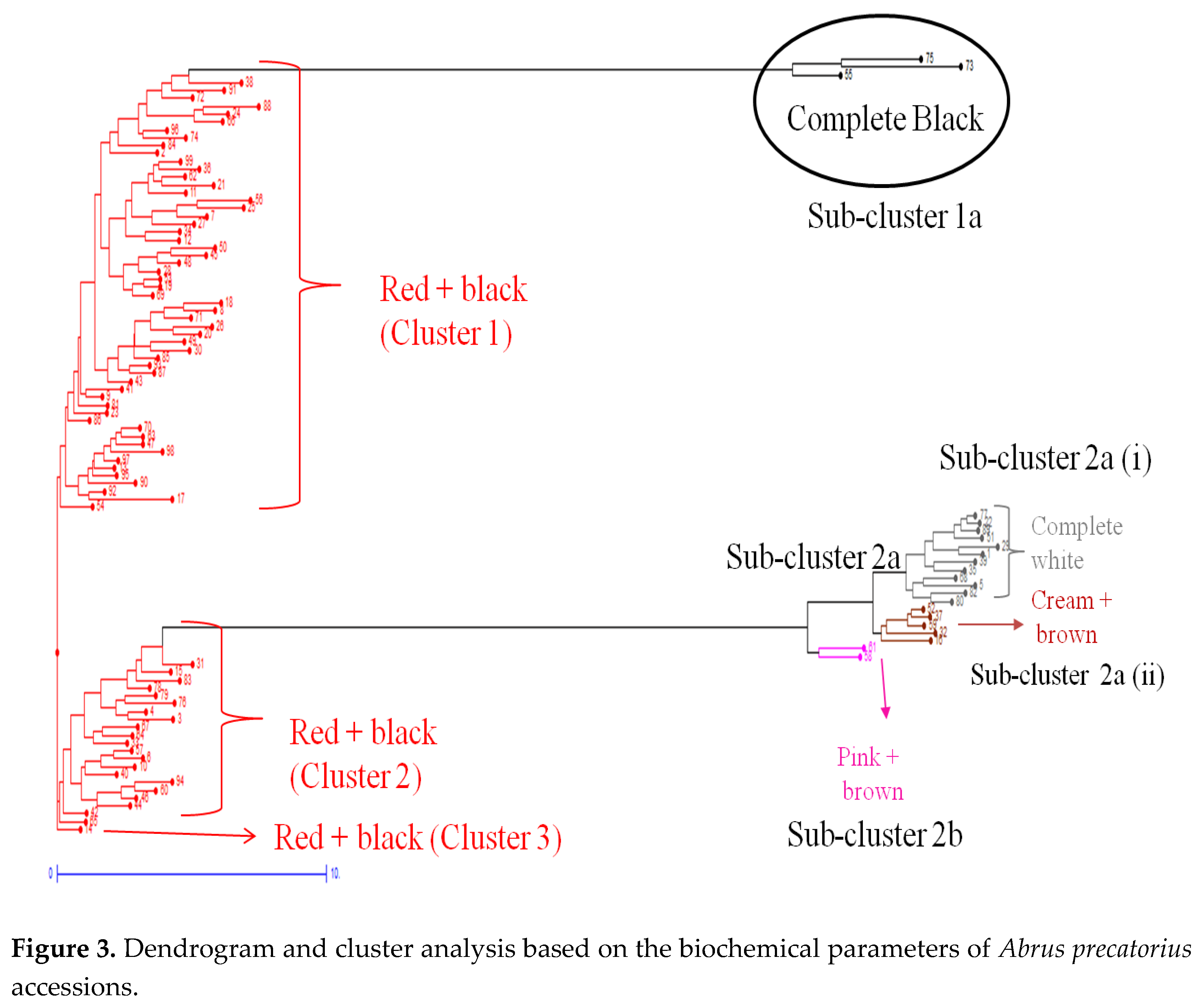 Preprints 110785 g003