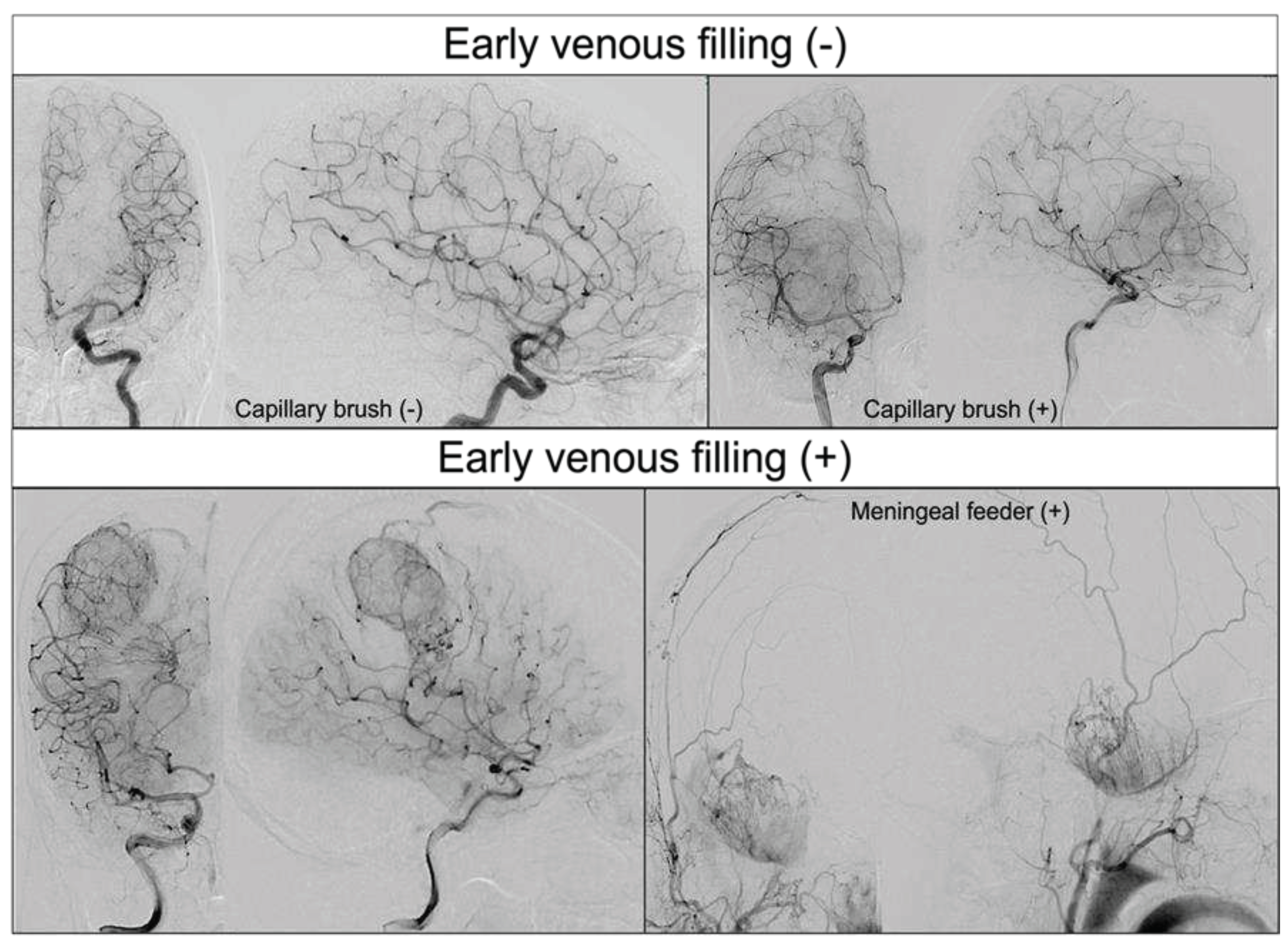 Preprints 77946 g001