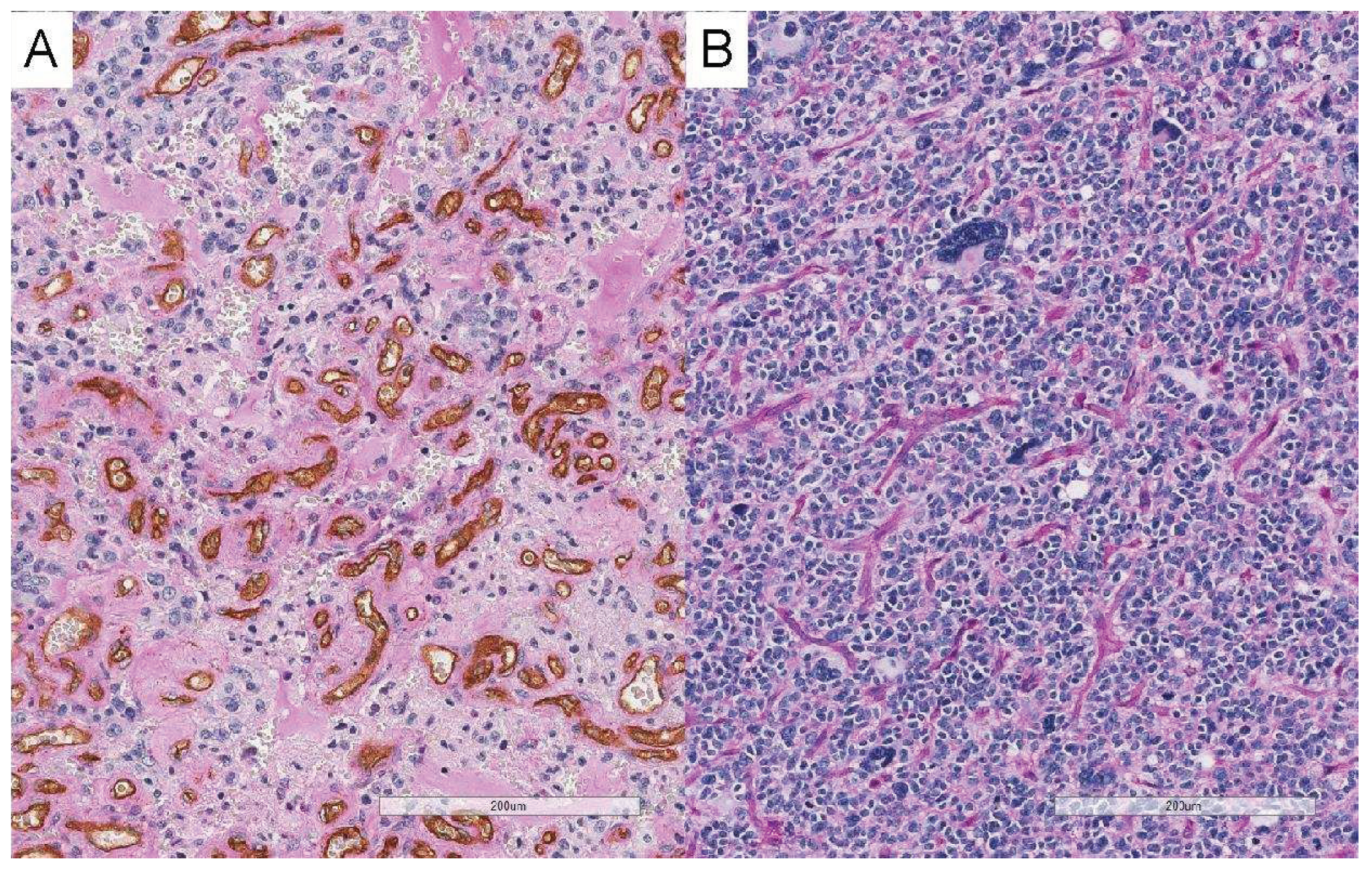 Preprints 77946 g002