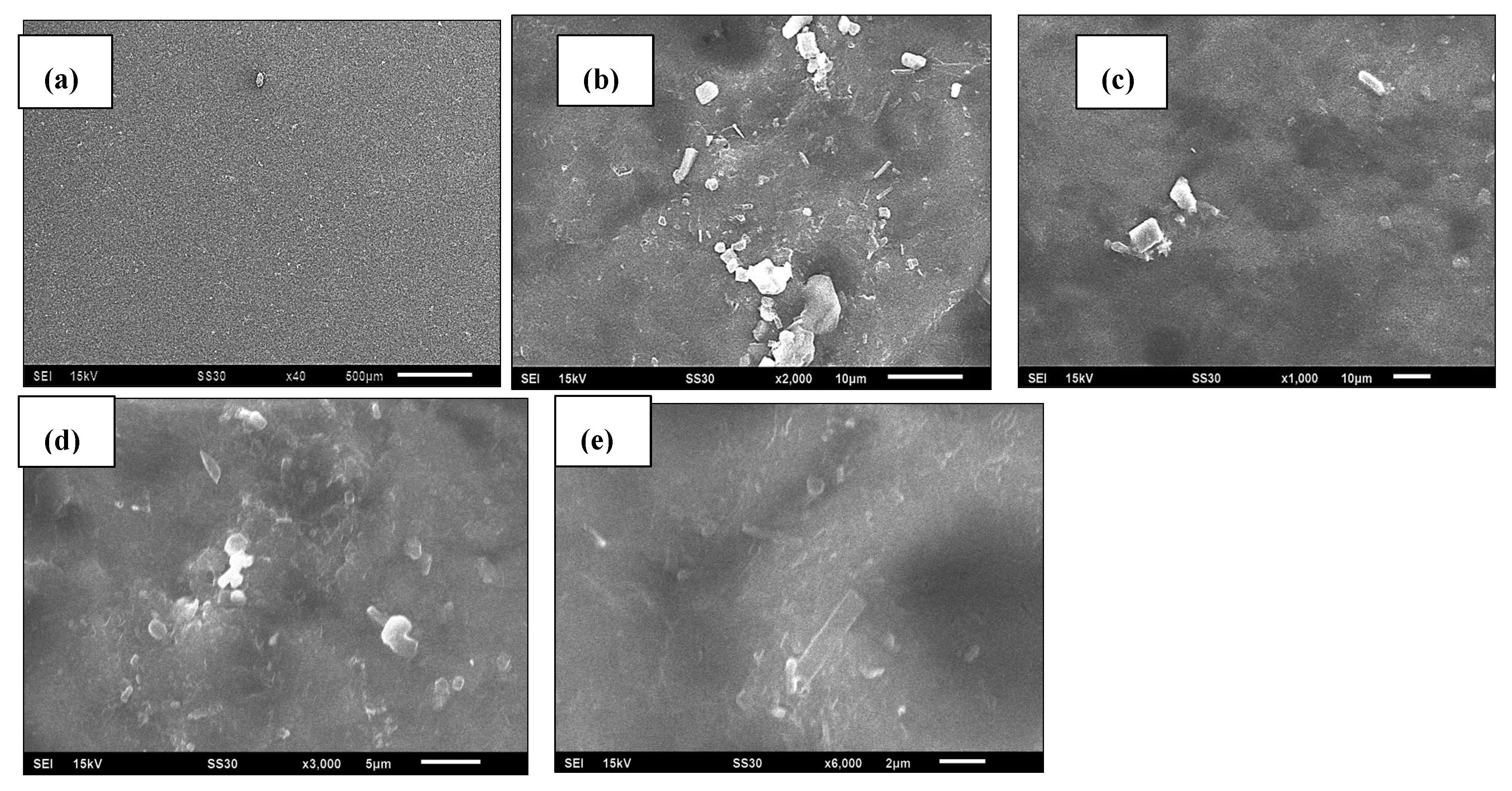 Preprints 112472 g007