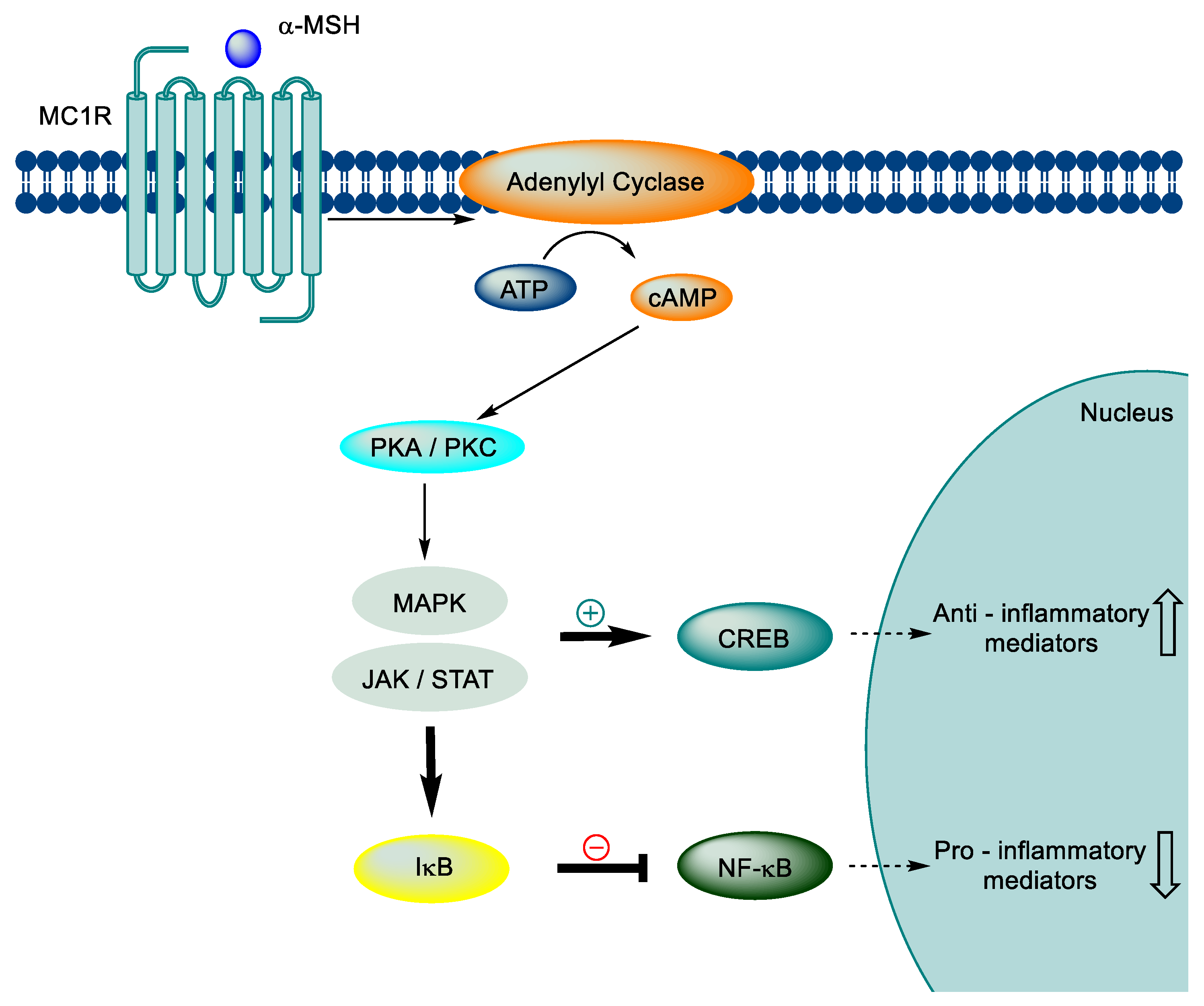 Preprints 74283 g002