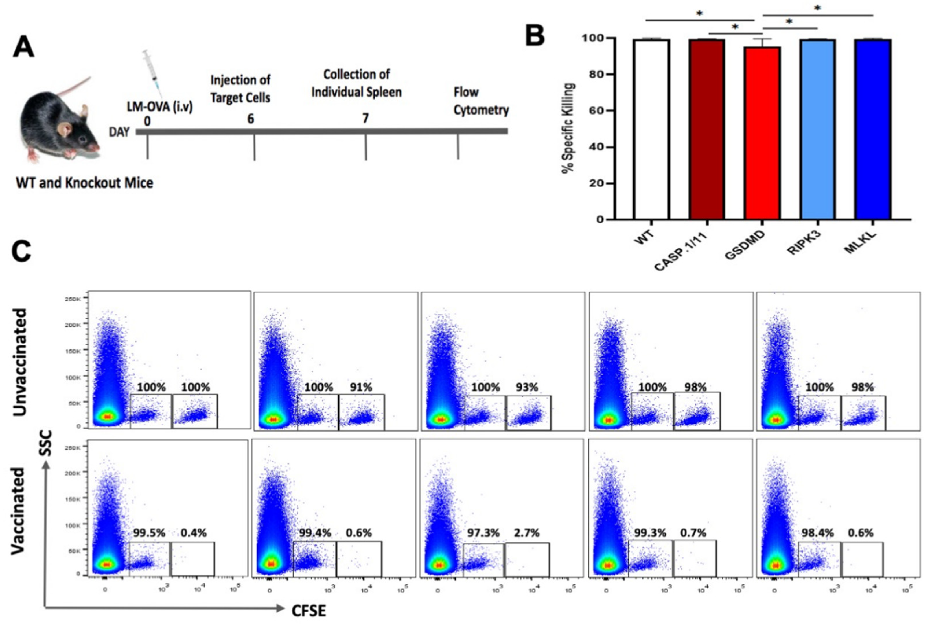 Preprints 114949 g002