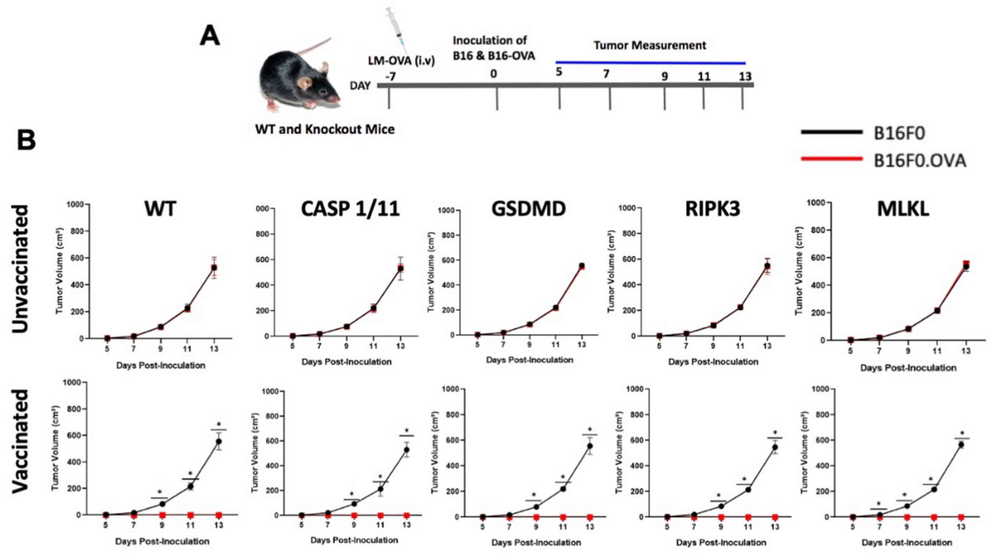 Preprints 114949 g003