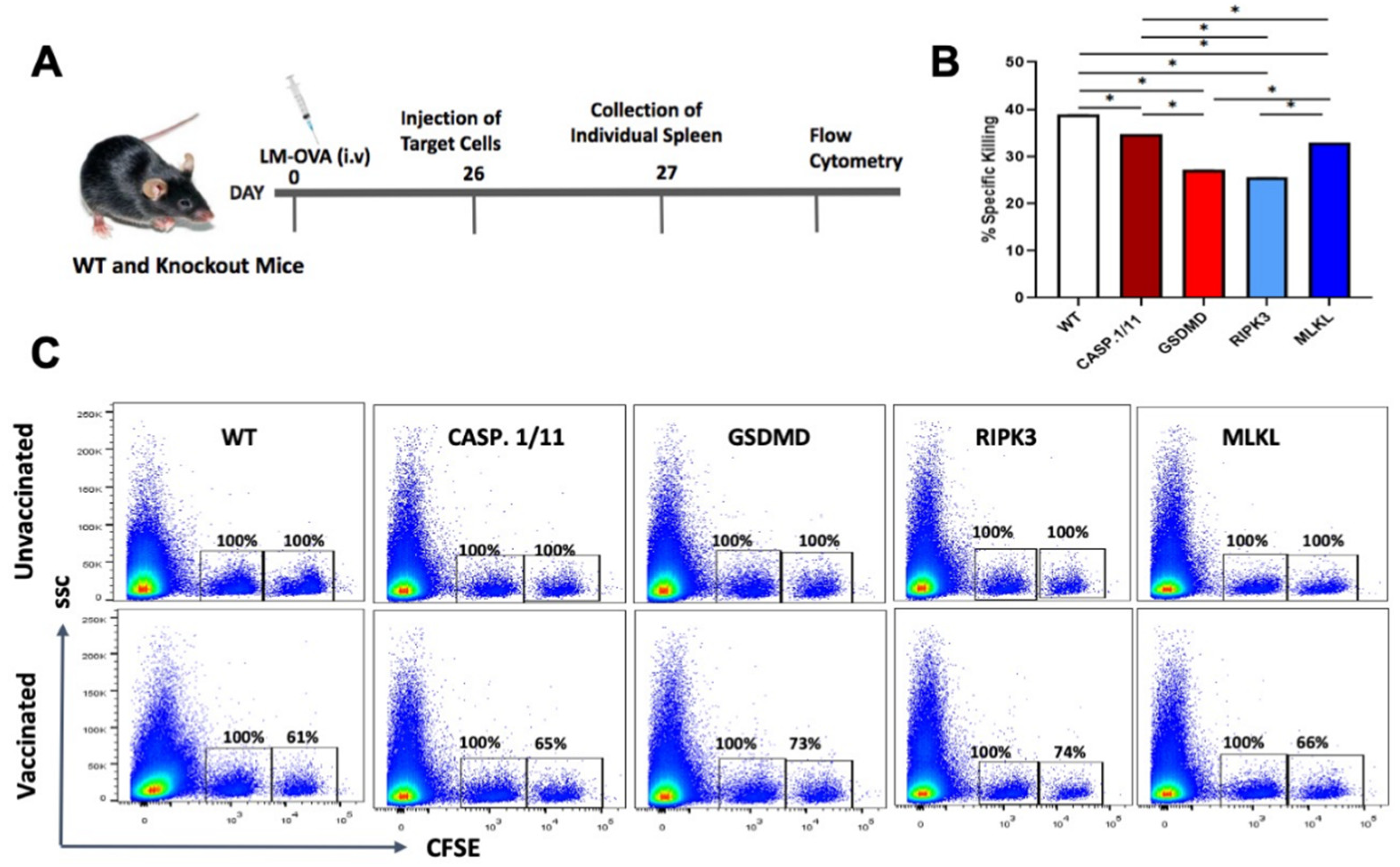 Preprints 114949 g004