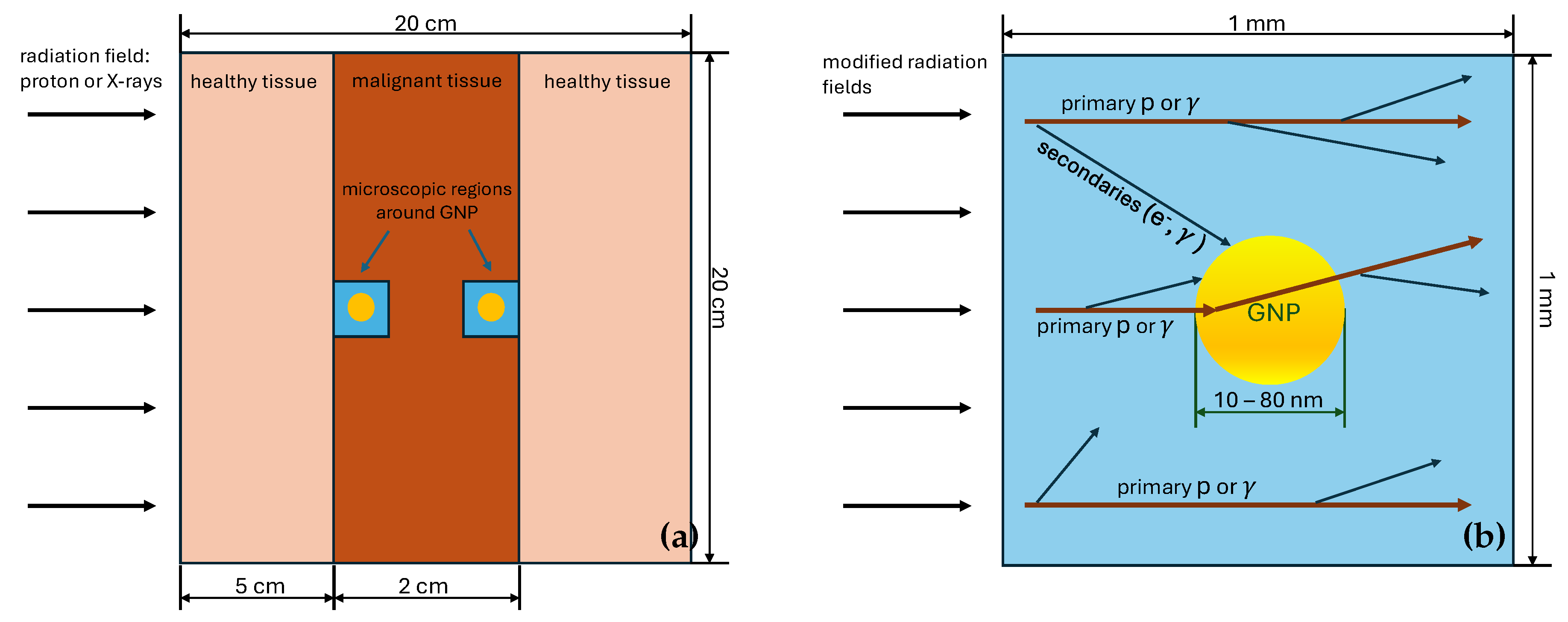 Preprints 114750 g002