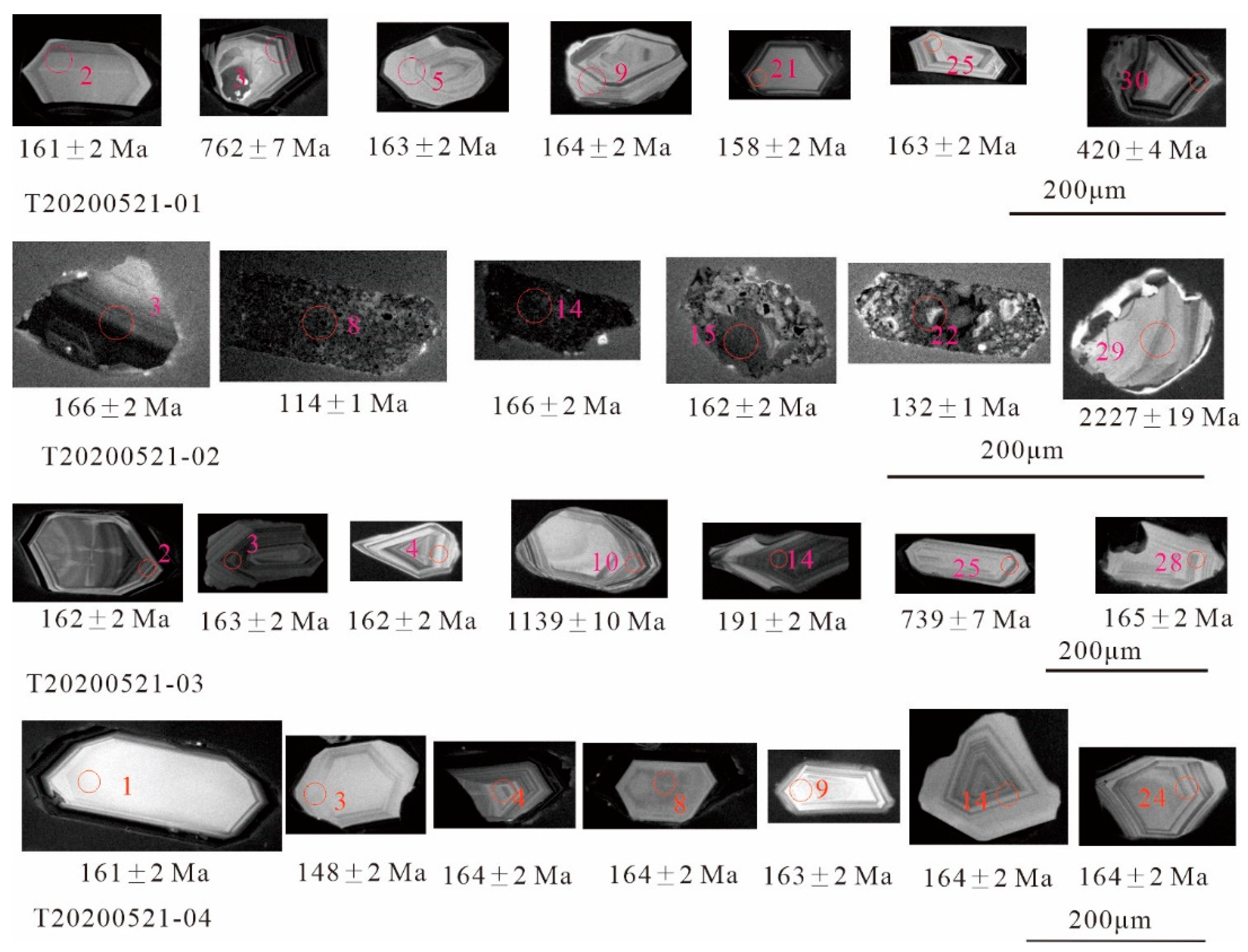 Preprints 114451 g005