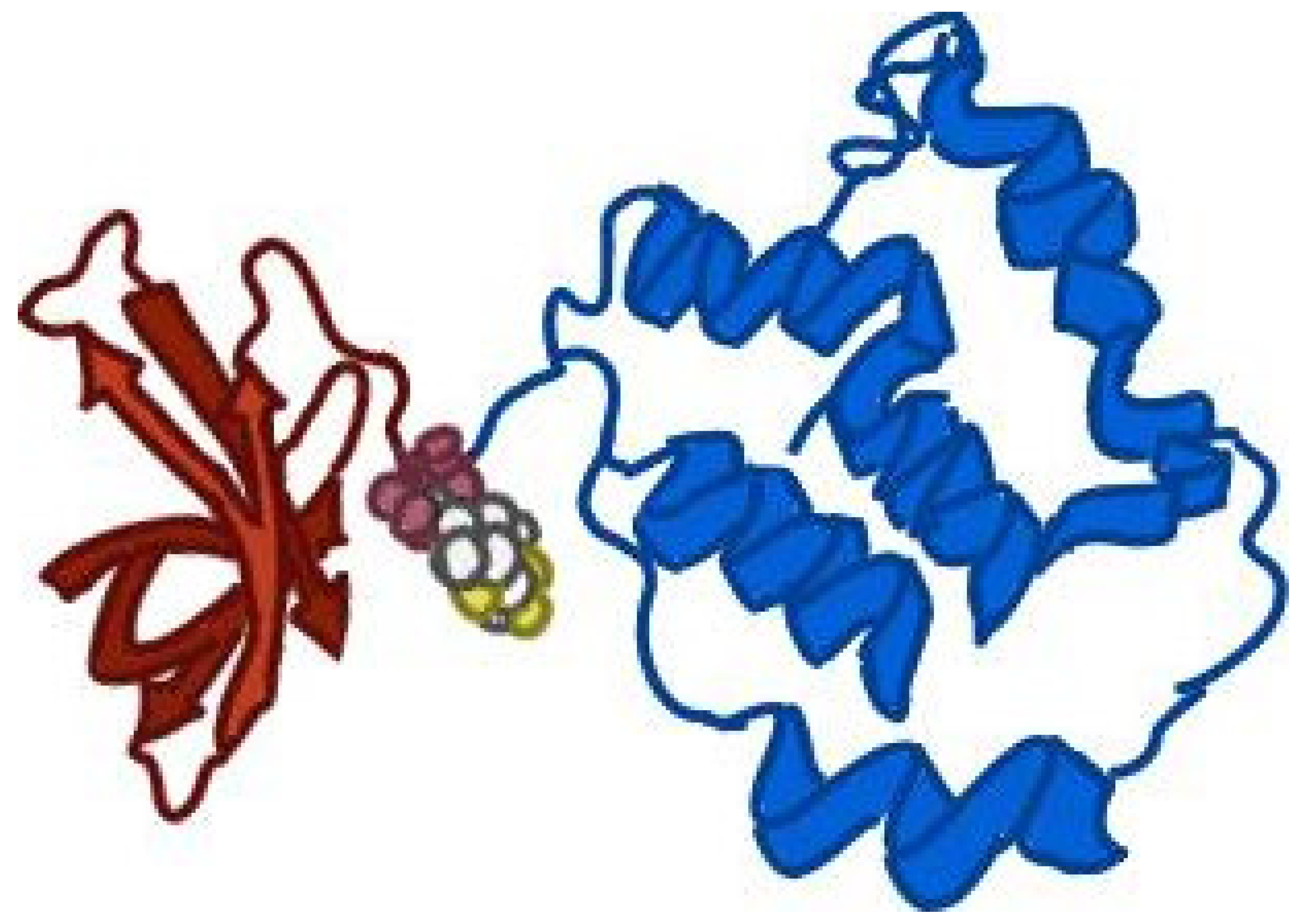 Preprints 115539 g001