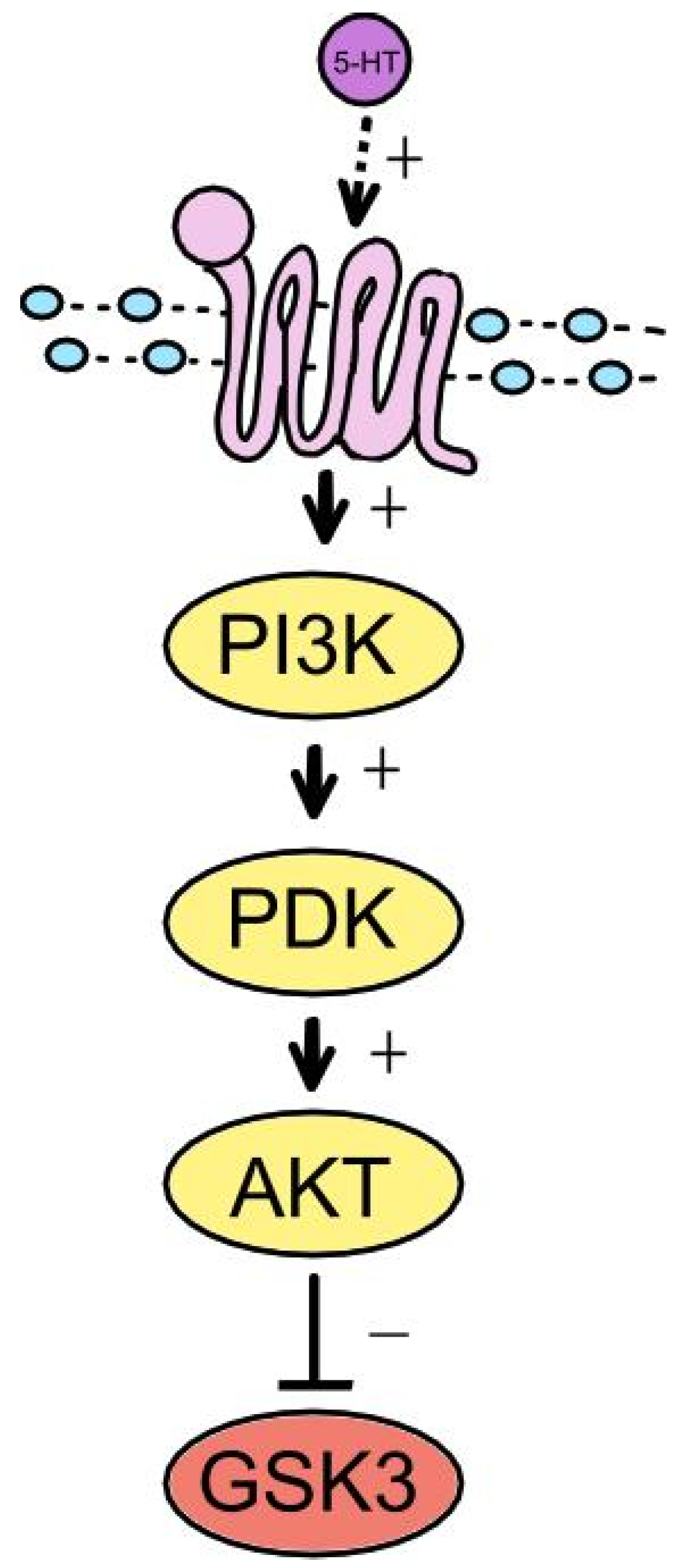 Preprints 115539 g003