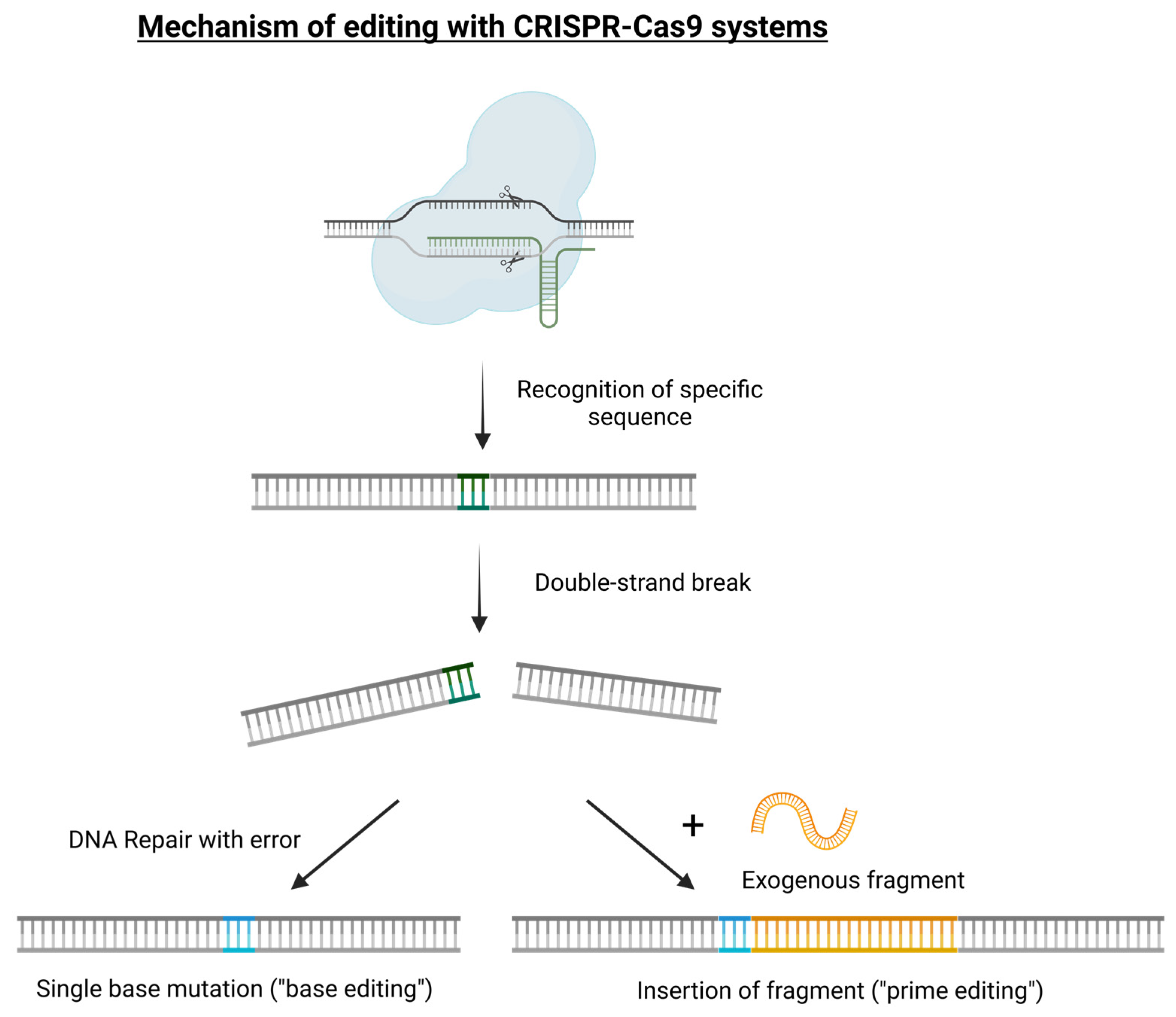 Preprints 116524 g001