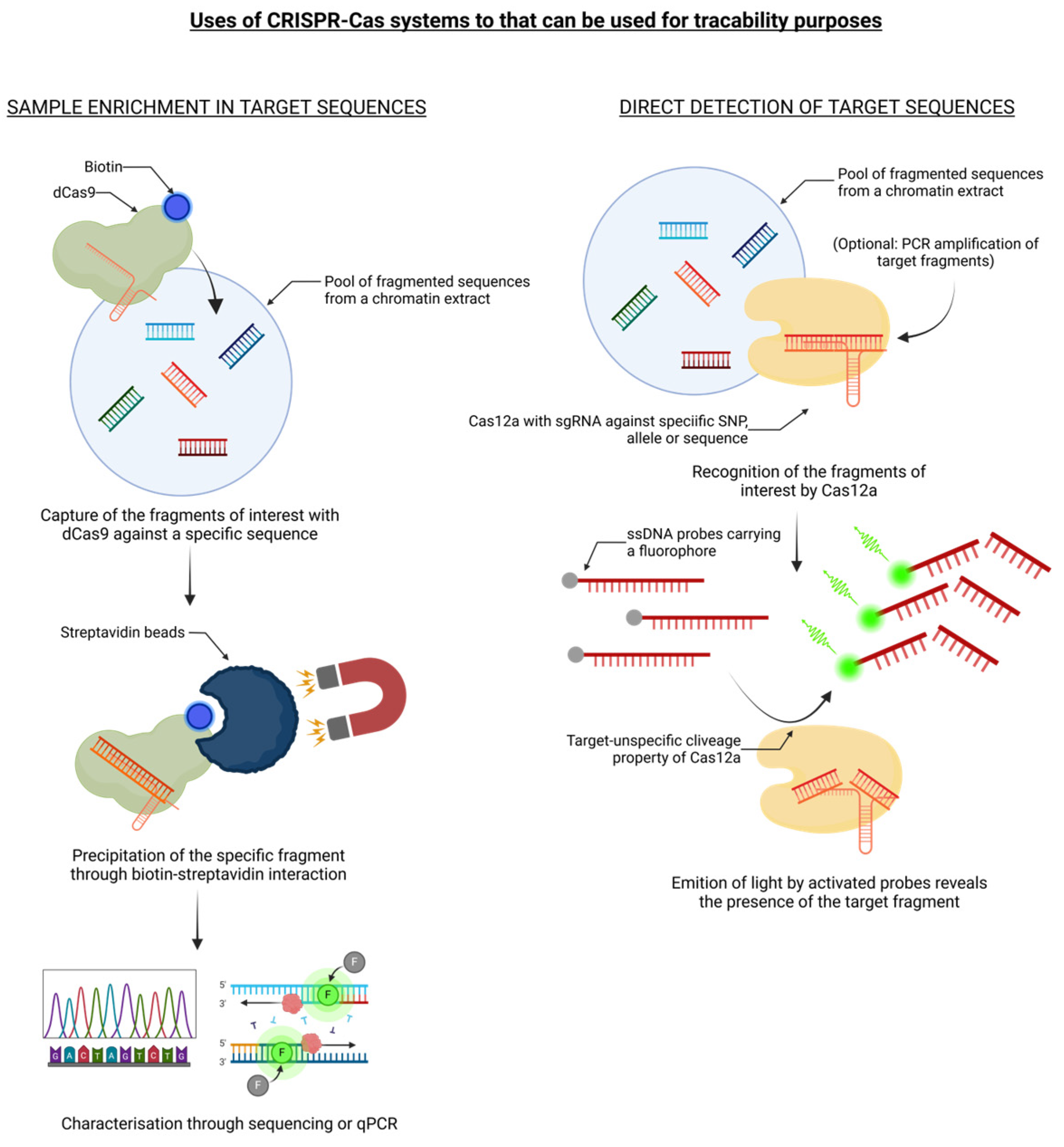 Preprints 116524 g002