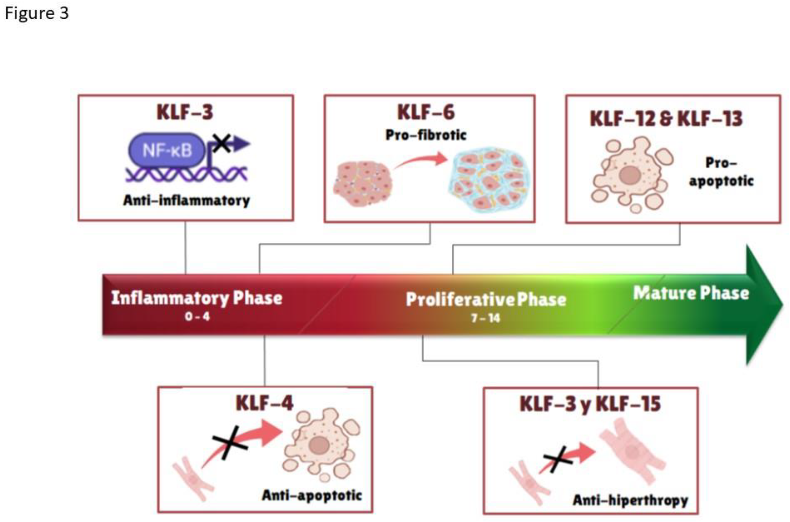 Preprints 90145 g003