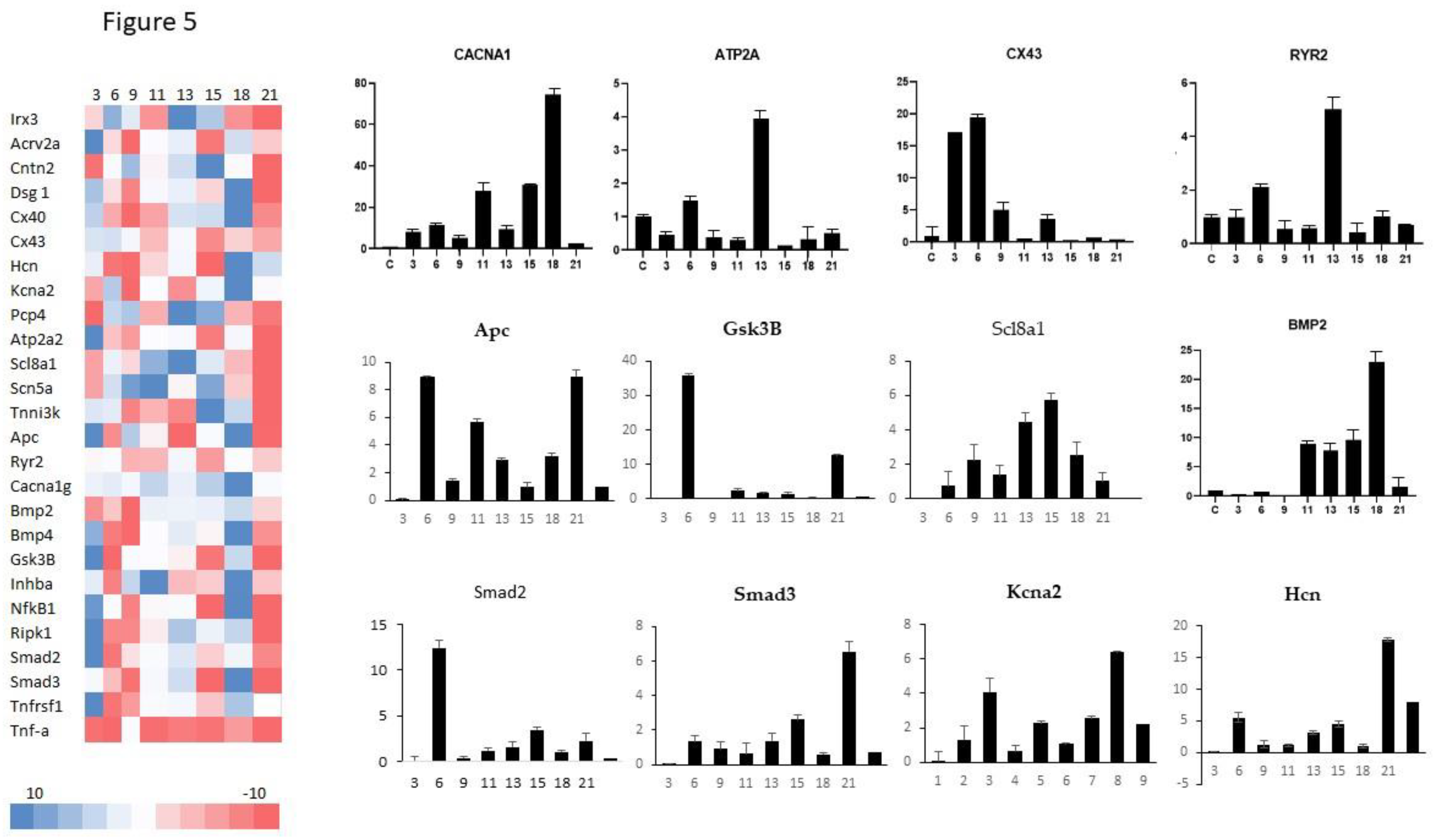 Preprints 90145 g005