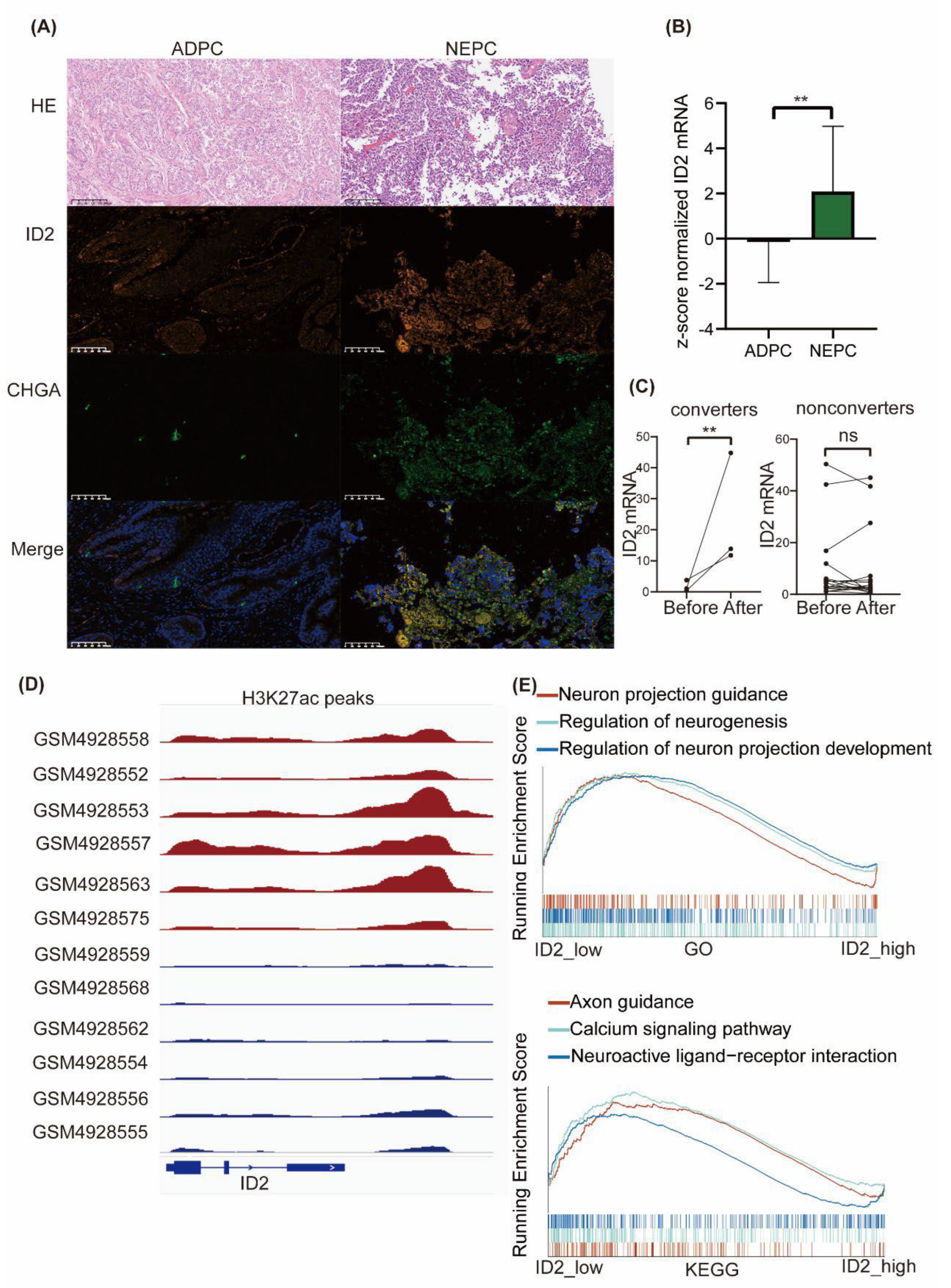 Preprints 91785 g001